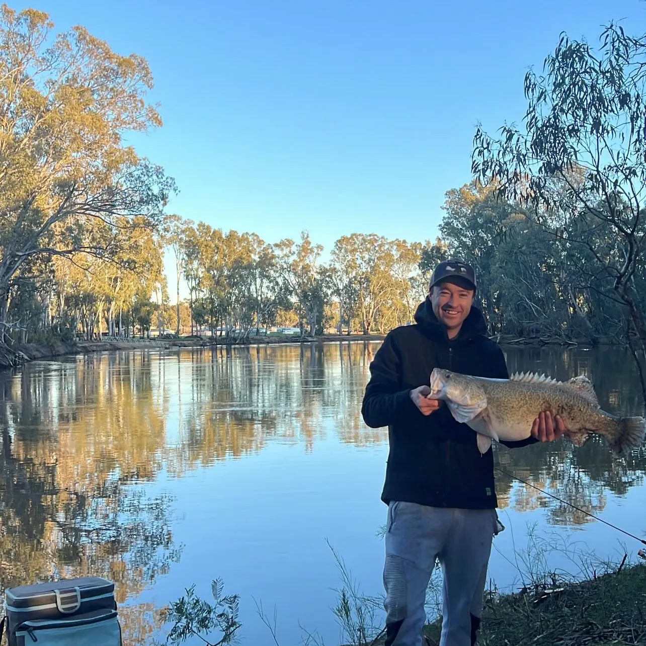 The most recent Murray cod catches on Fishbrain