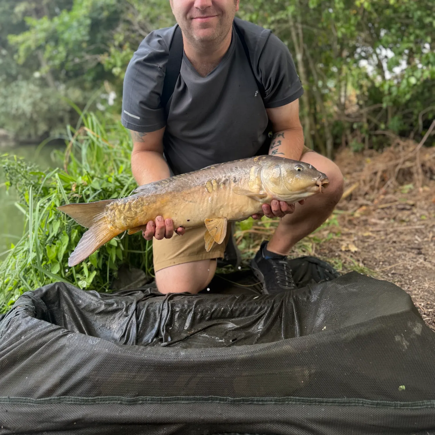 Mirror carp caught on Fishbrain