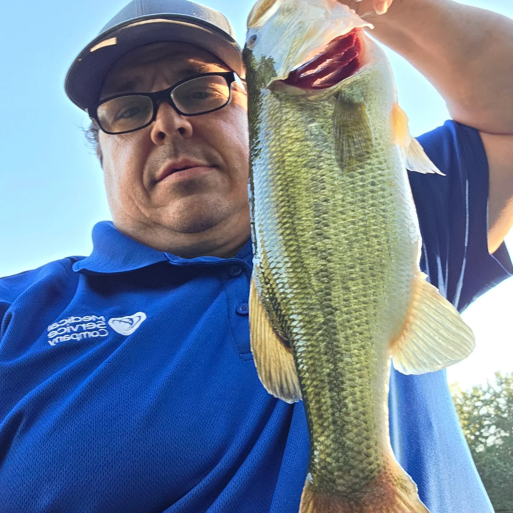 Largemouth bass caught on Fishbrain