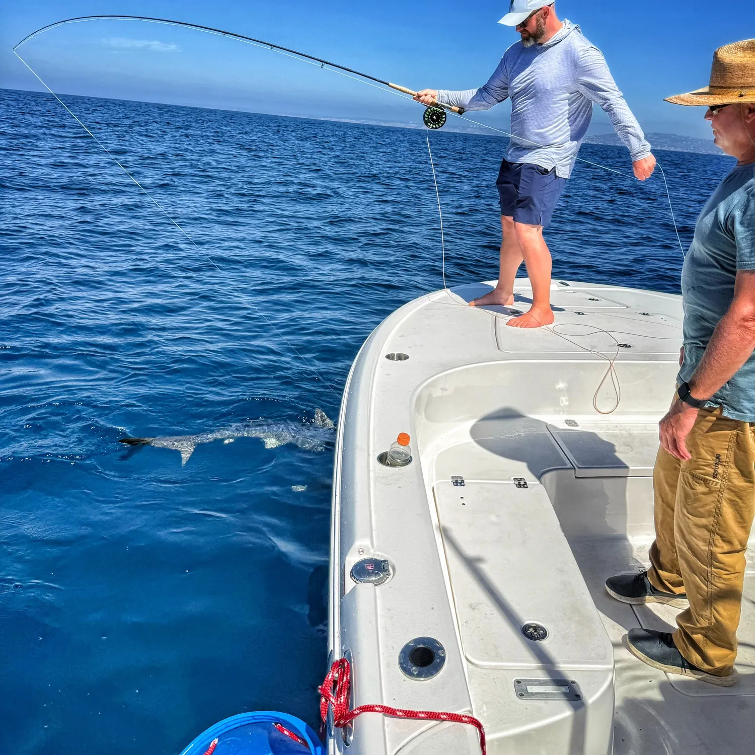 The most recent Blue shark catches on Fishbrain
