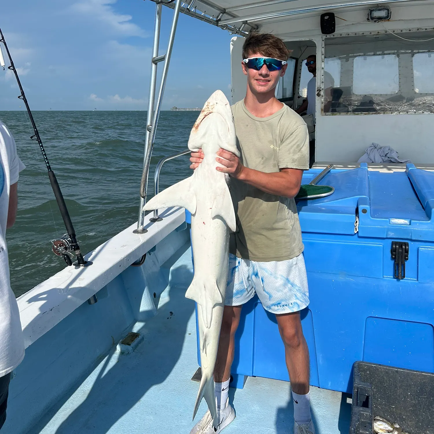 The most recent Finetooth shark catches on Fishbrain