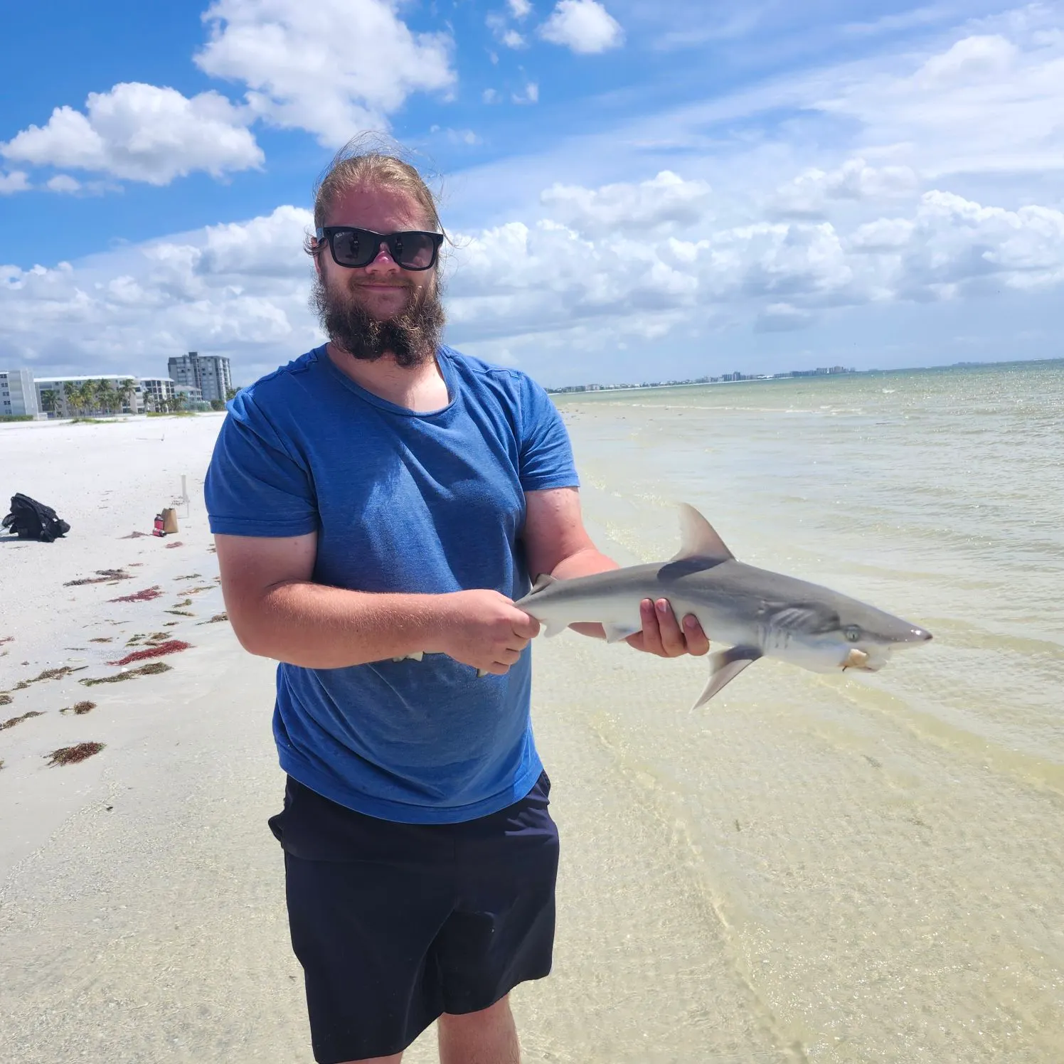 The most recent Atlantic sharpnose shark catches on Fishbrain