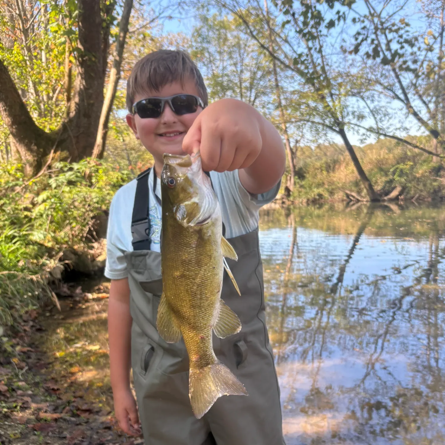 Smallmouth bass caught on Fishbrain