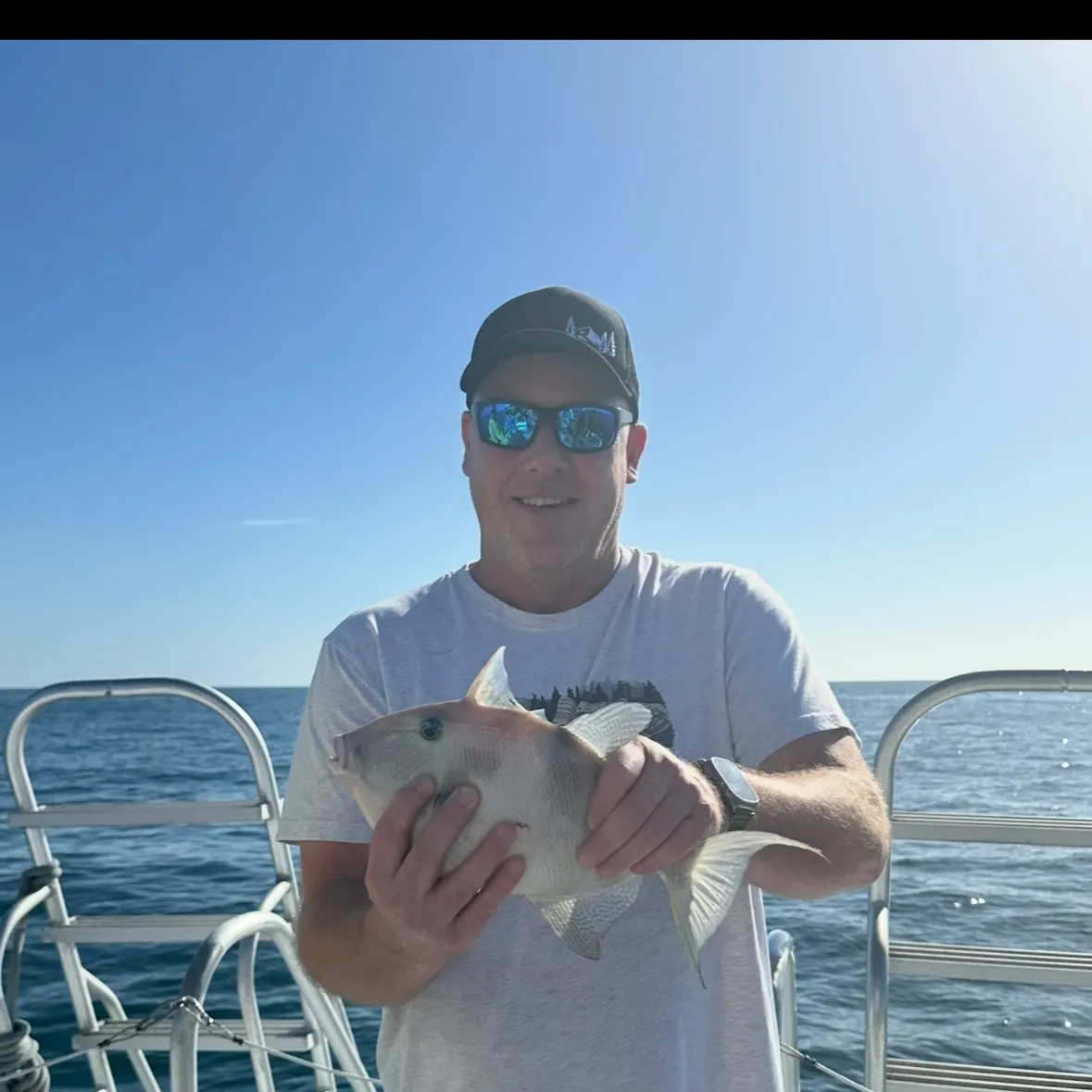 The most recent Grey triggerfish catches on Fishbrain