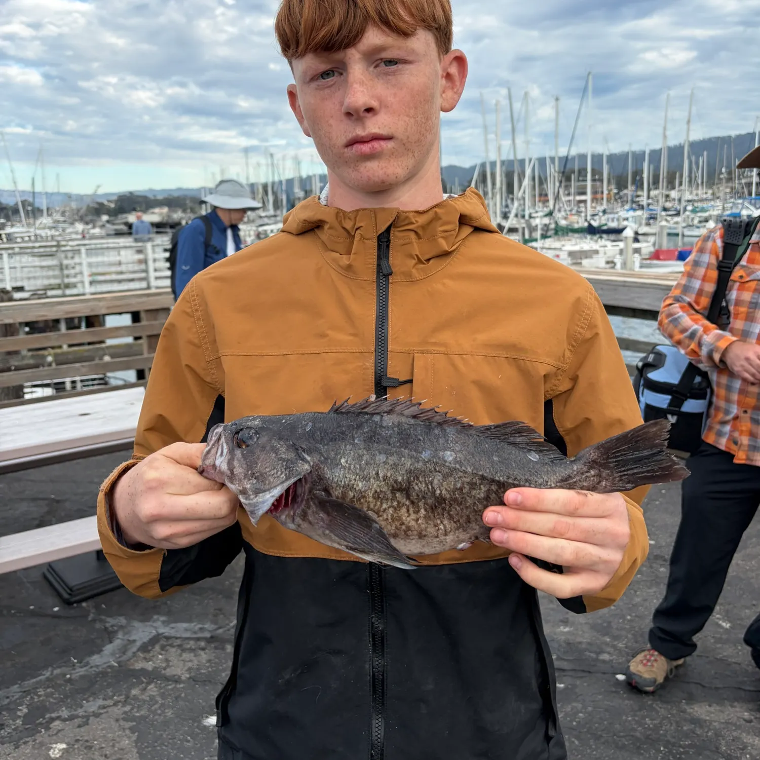 The most recent Blue rockfish catches on Fishbrain