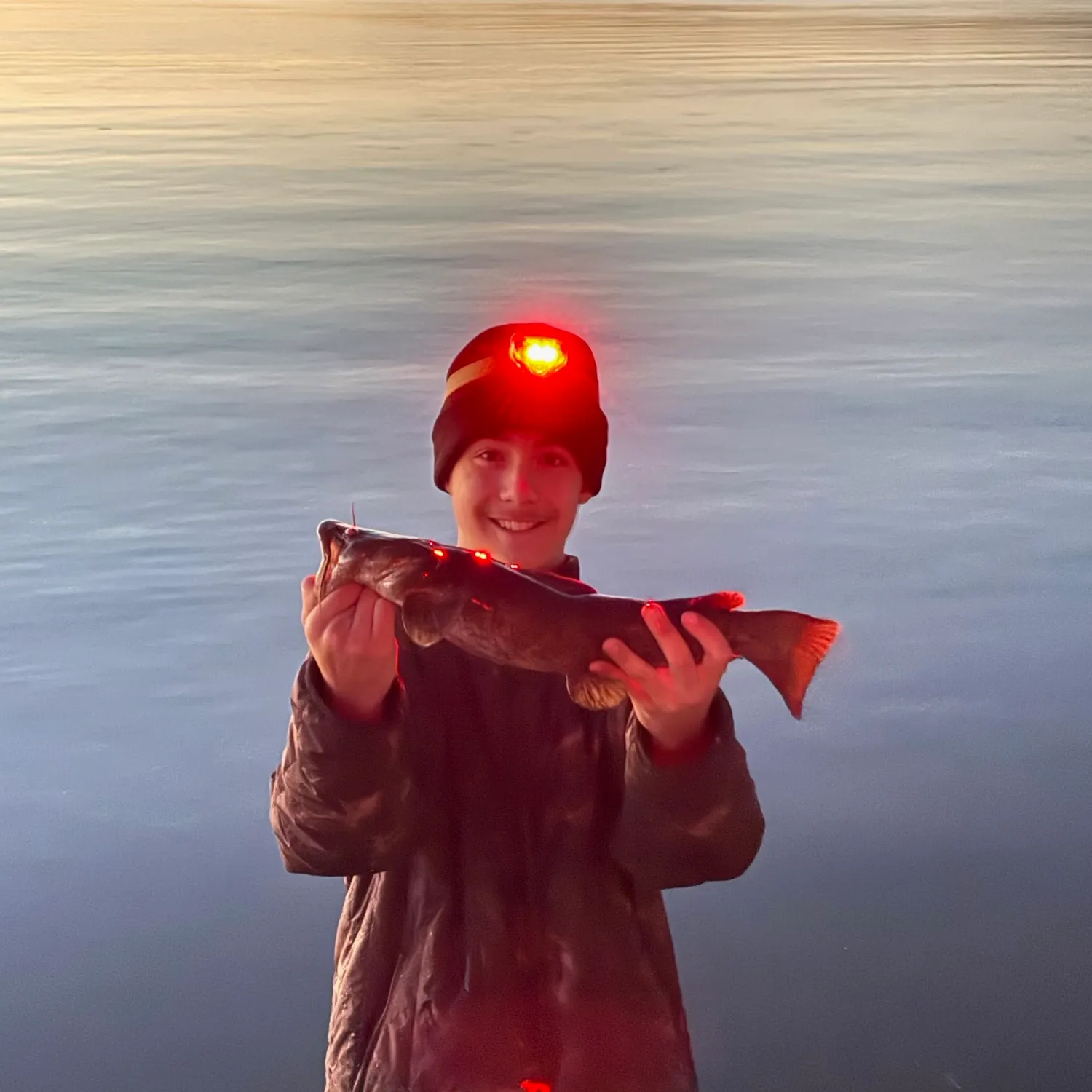 Flathead catfish caught on Fishbrain