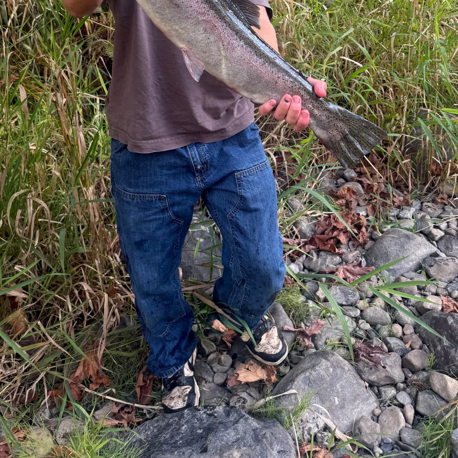 Steelhead caught on Fishbrain