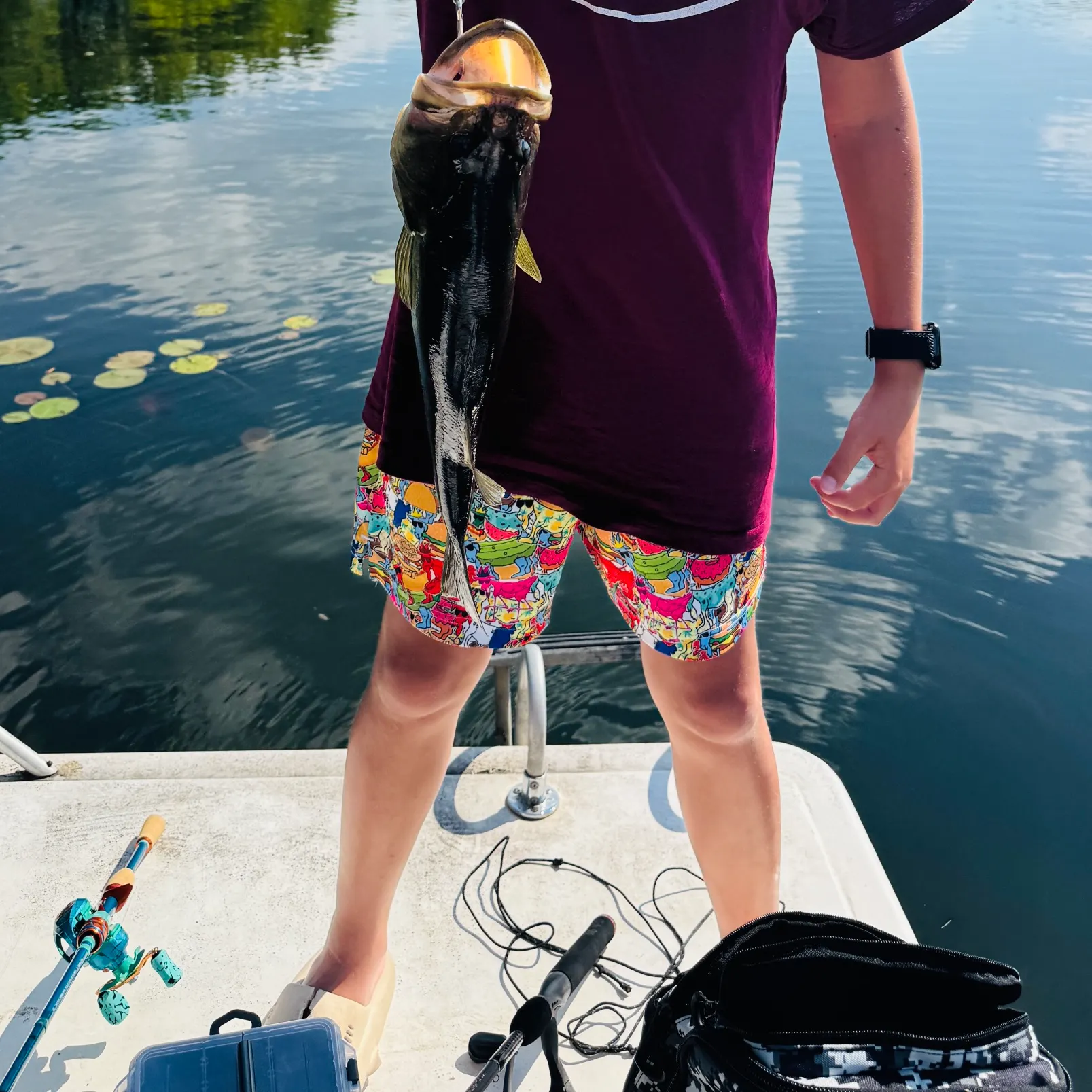recently logged catches