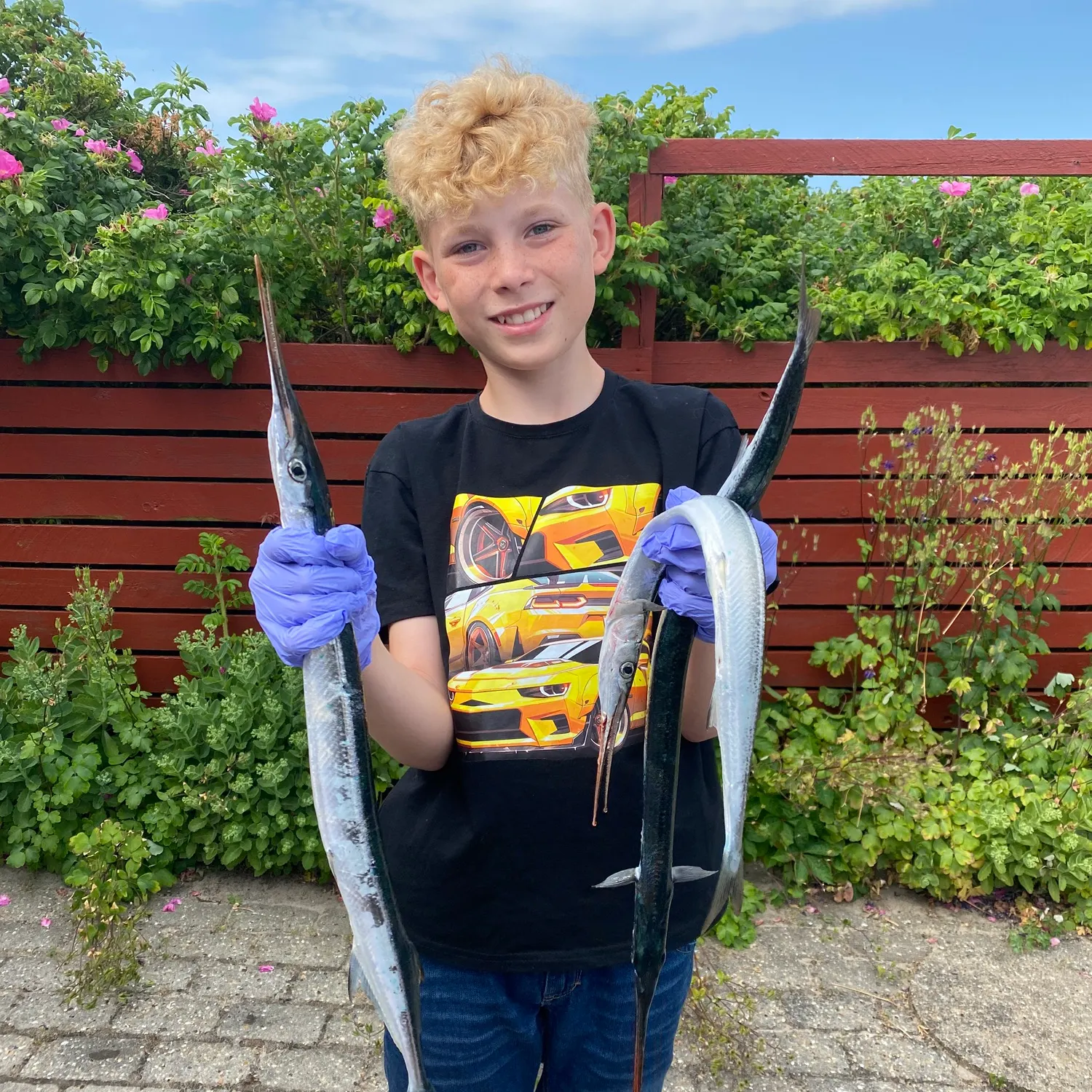 The most recent European garfish catches on Fishbrain