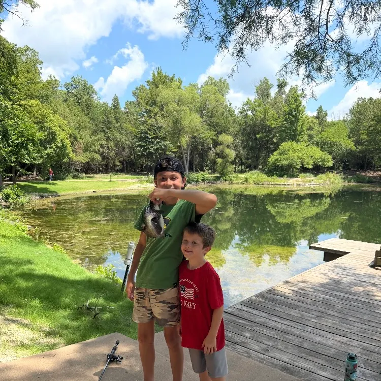 Channel catfish caught on Fishbrain
