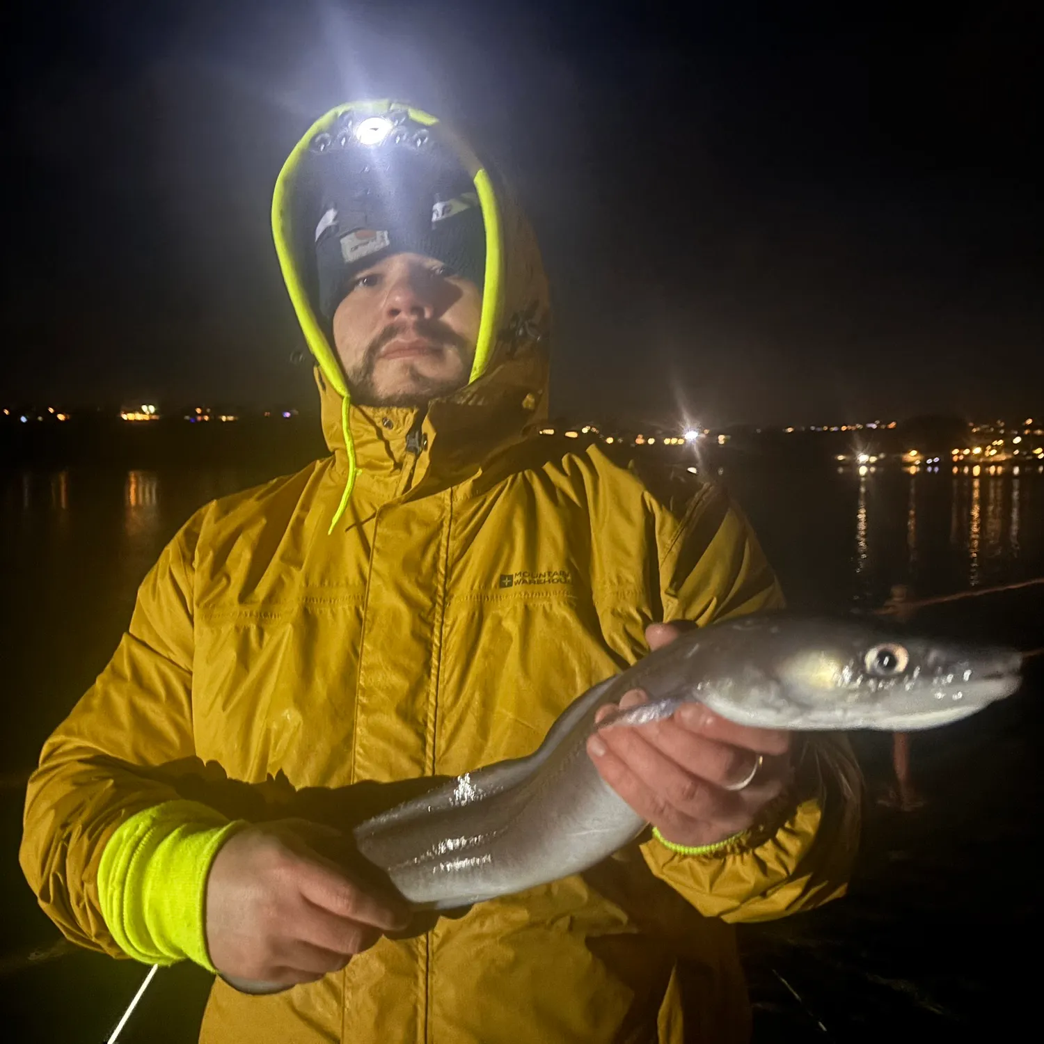 The most recent European conger catches on Fishbrain