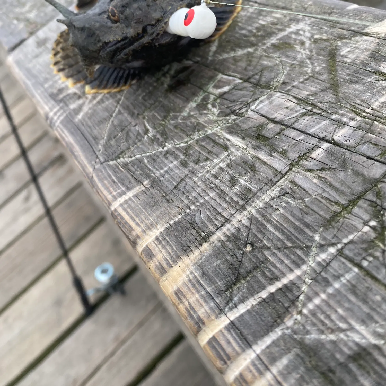 The most recent Buffalo sculpin catches on Fishbrain