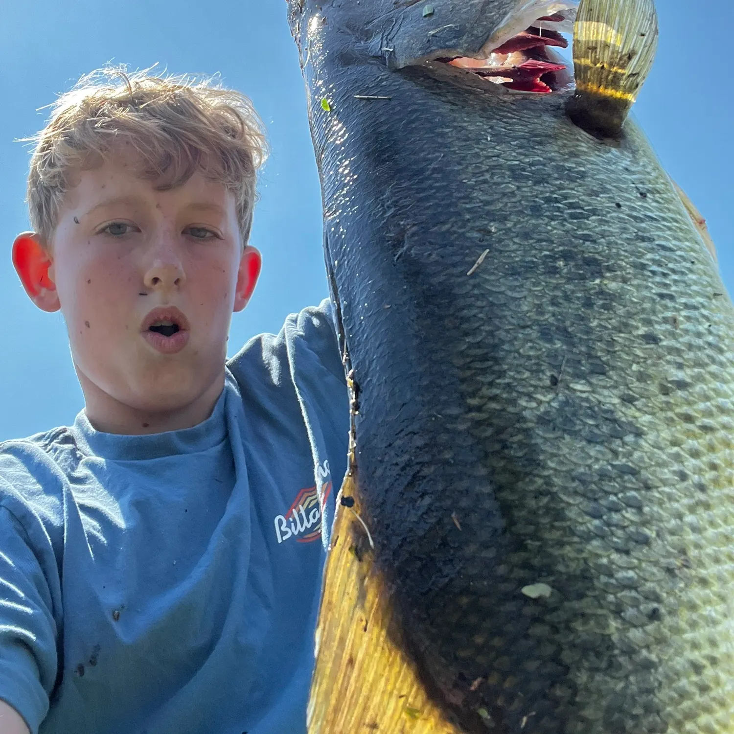 The most recent Northern snakehead catches on Fishbrain