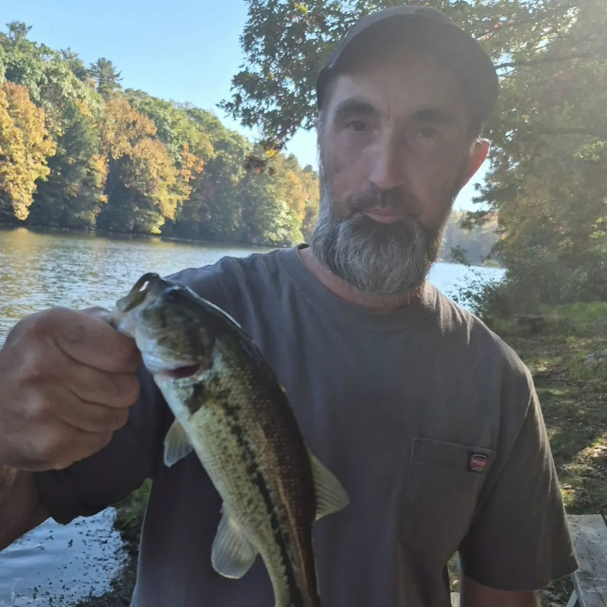 Largemouth bass caught on Fishbrain