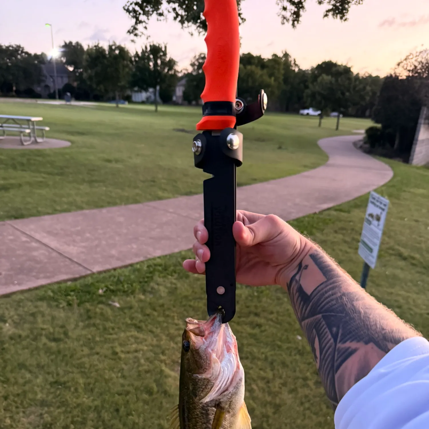 catch
