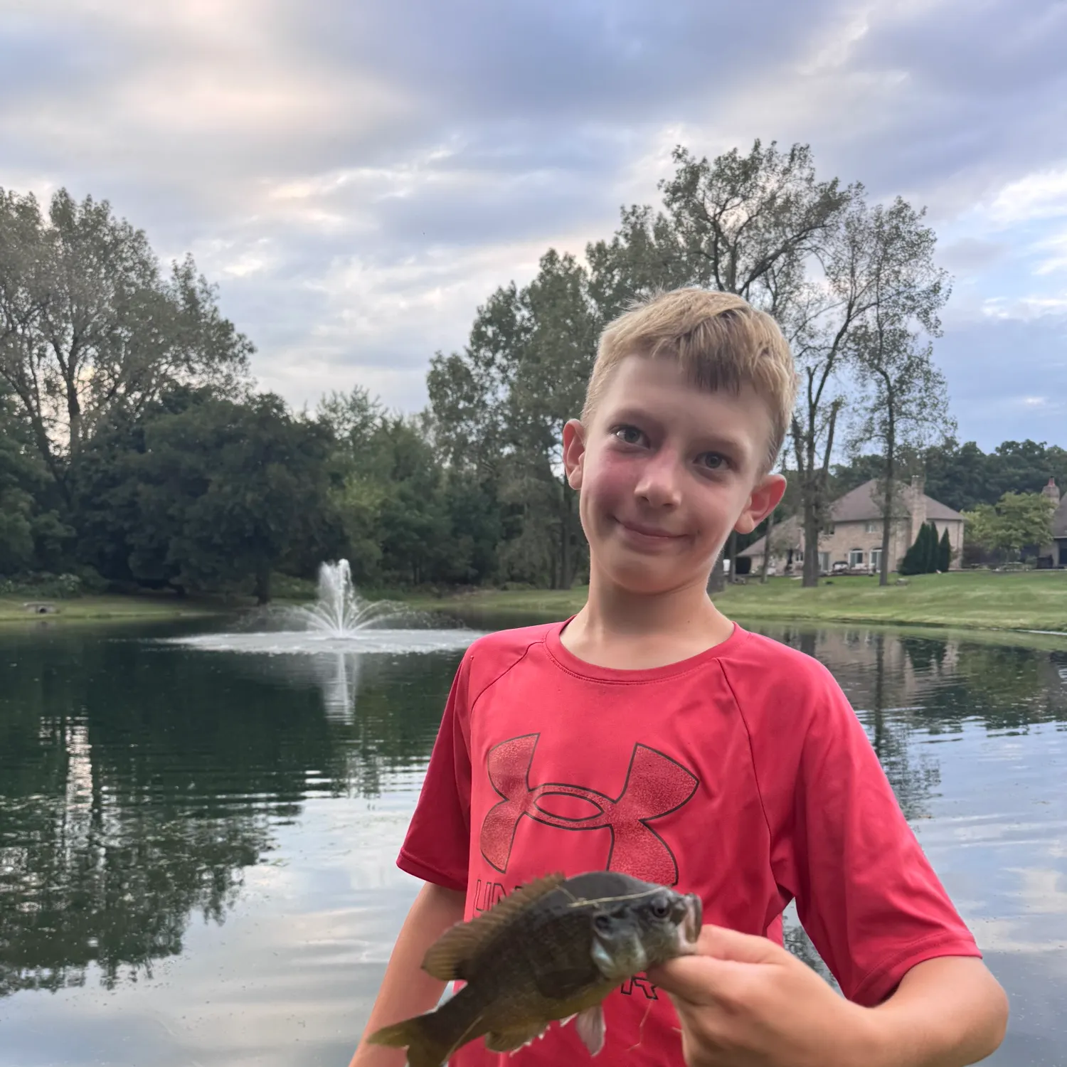 Greengill hybrid caught on Fishbrain