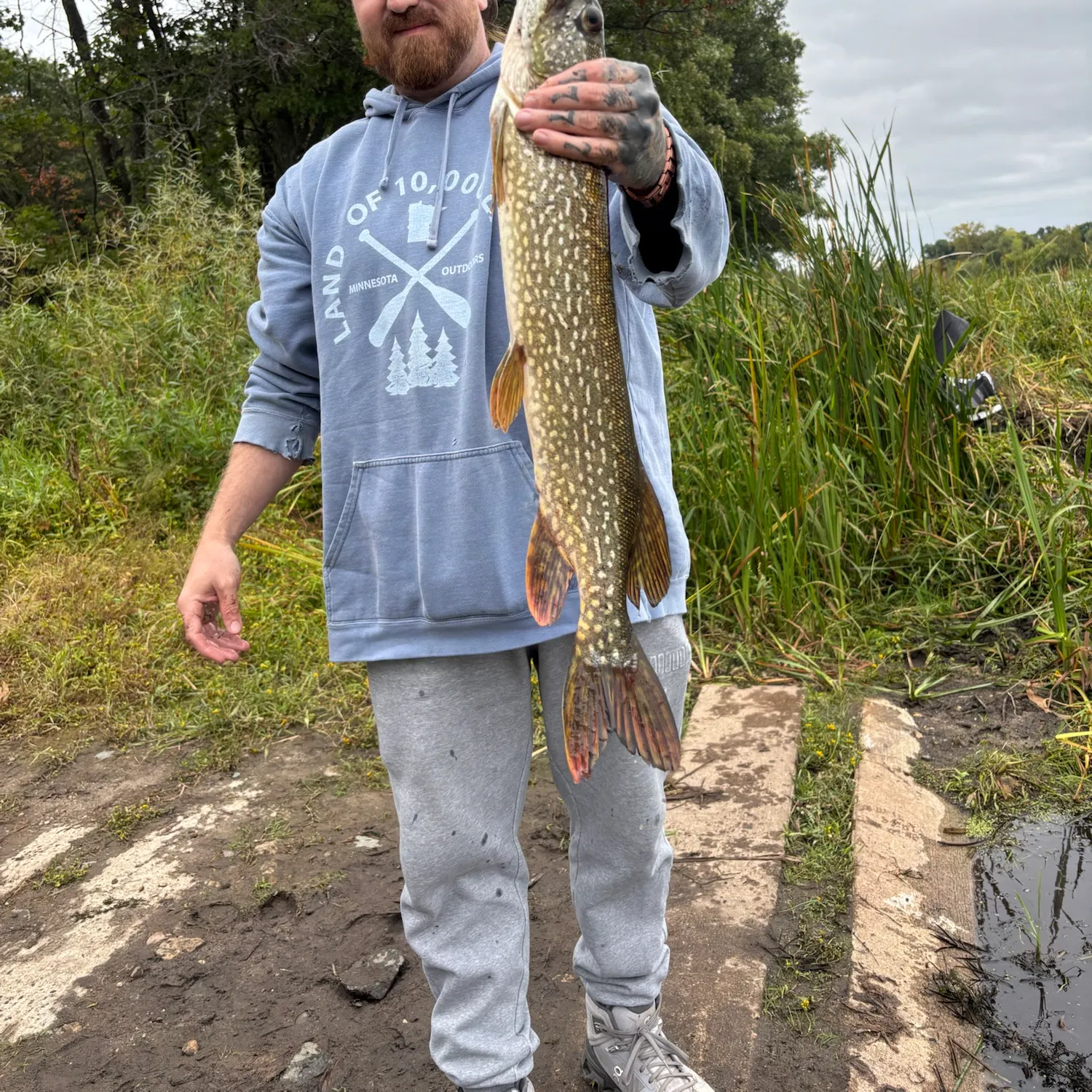 Northern pike caught on Fishbrain