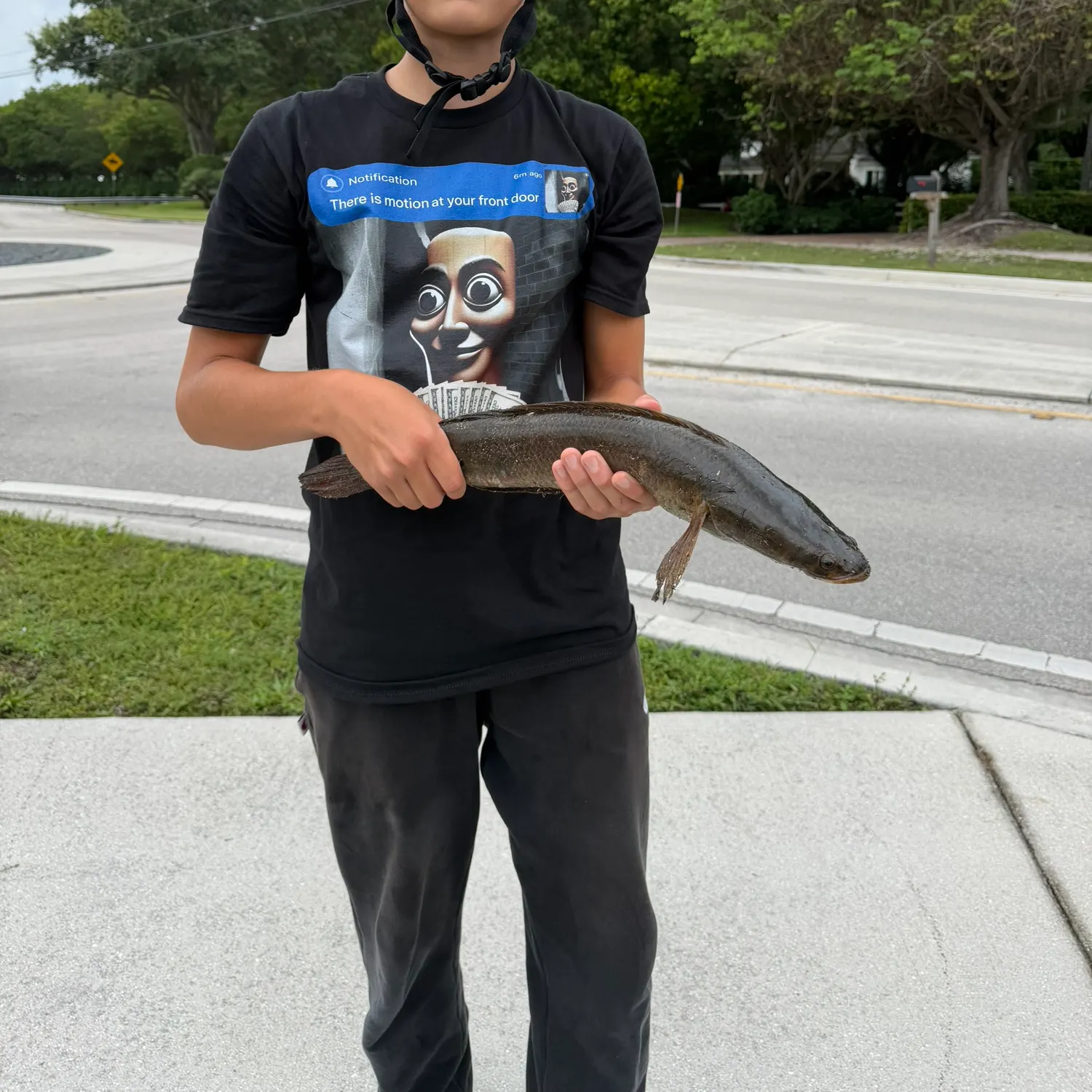 The most recent Striped snakehead catches on Fishbrain