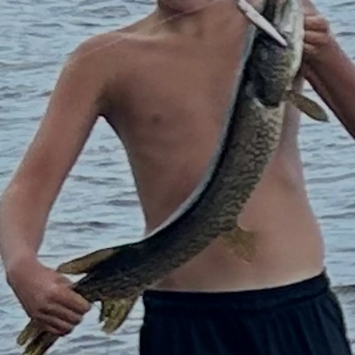 Northern pike caught on Fishbrain