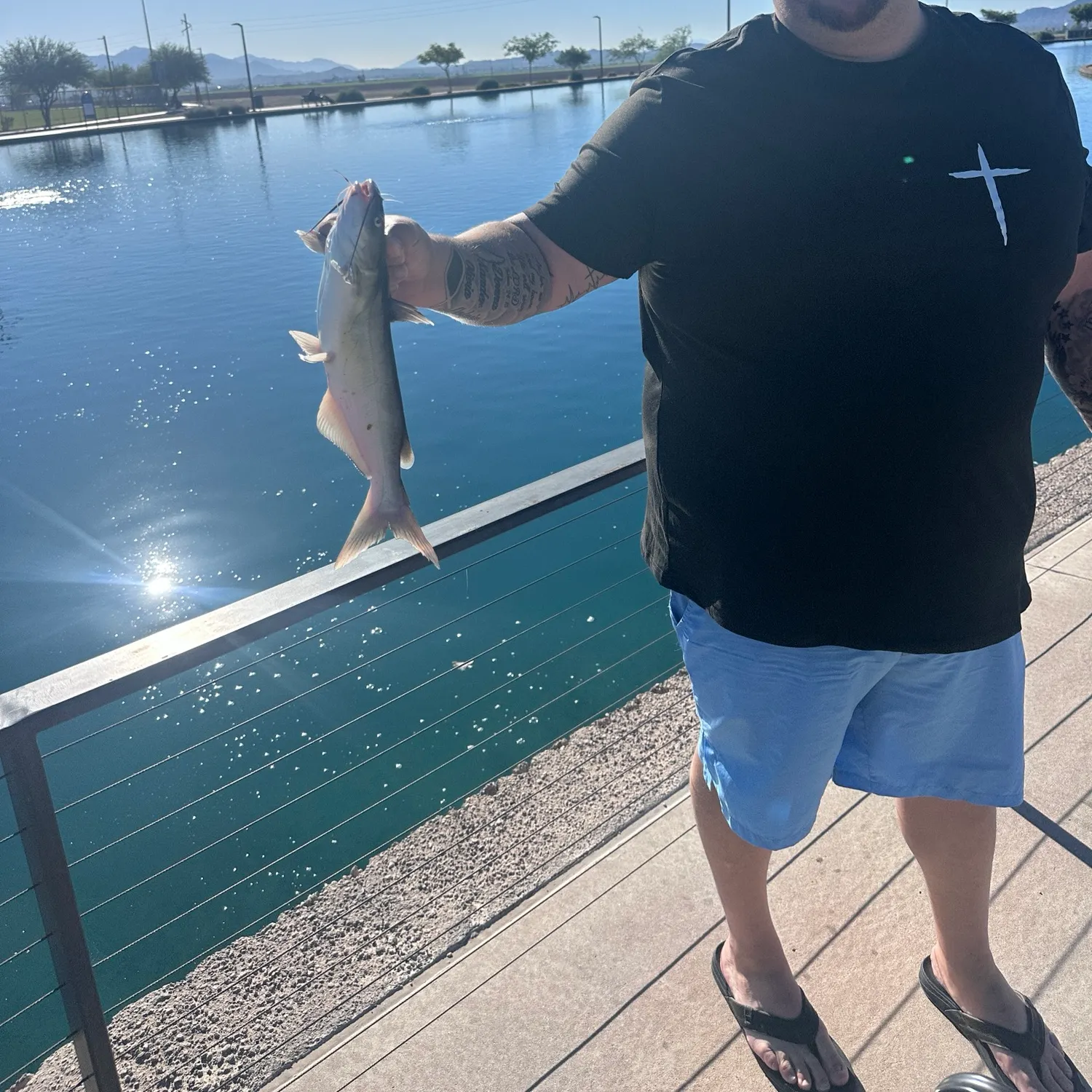 Channel catfish caught on Fishbrain