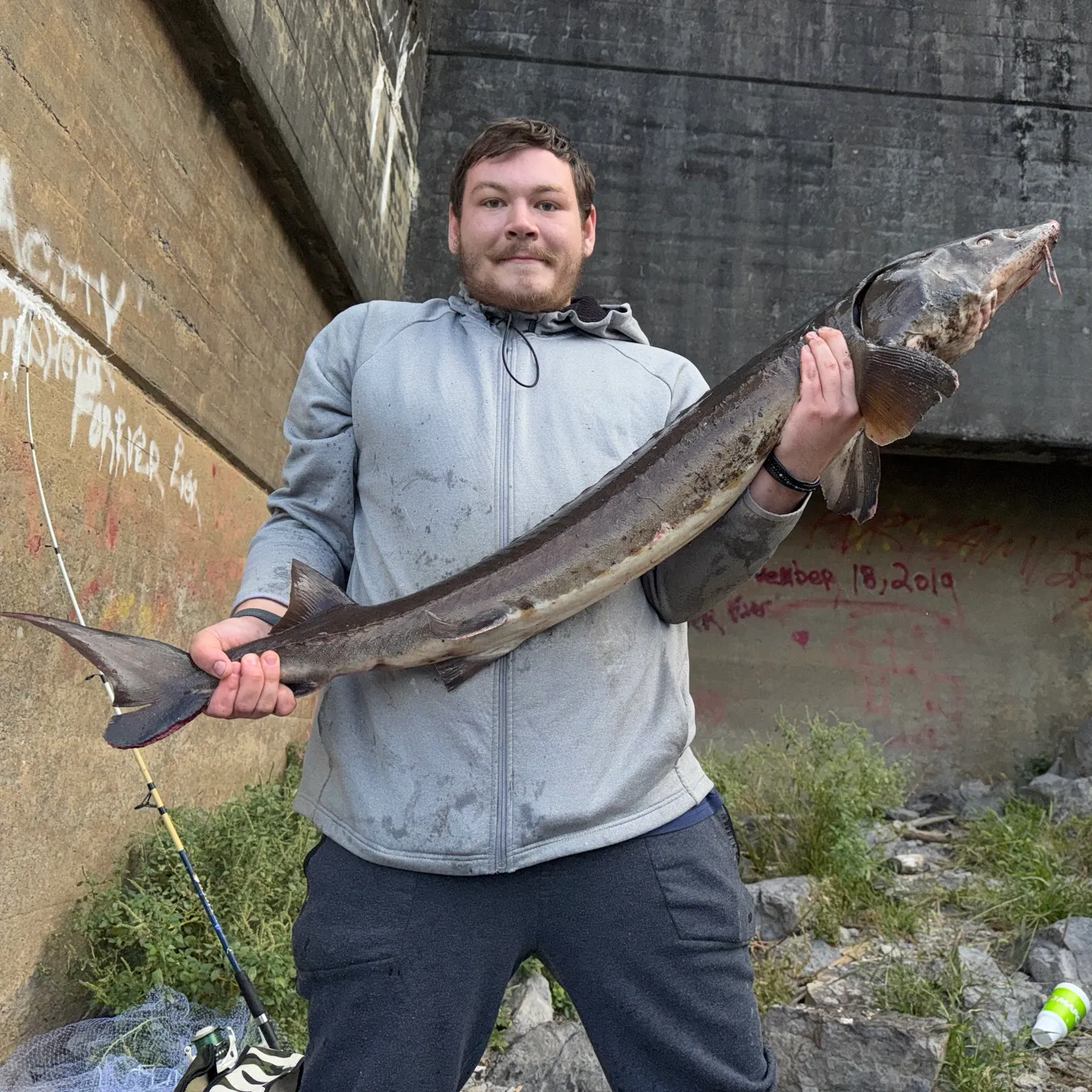 Lake sturgeon caught on Fishbrain