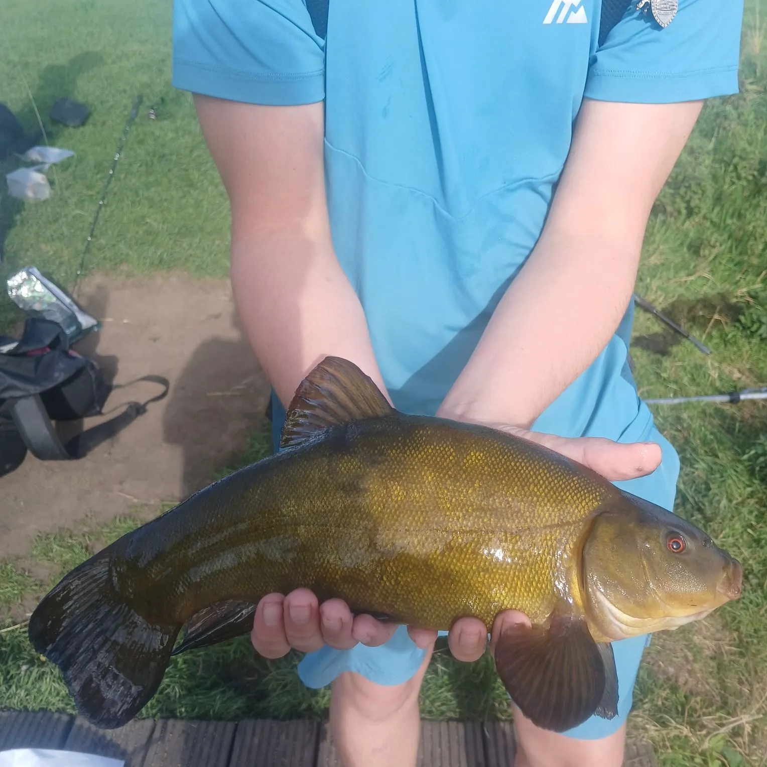 Tench caught on Fishbrain