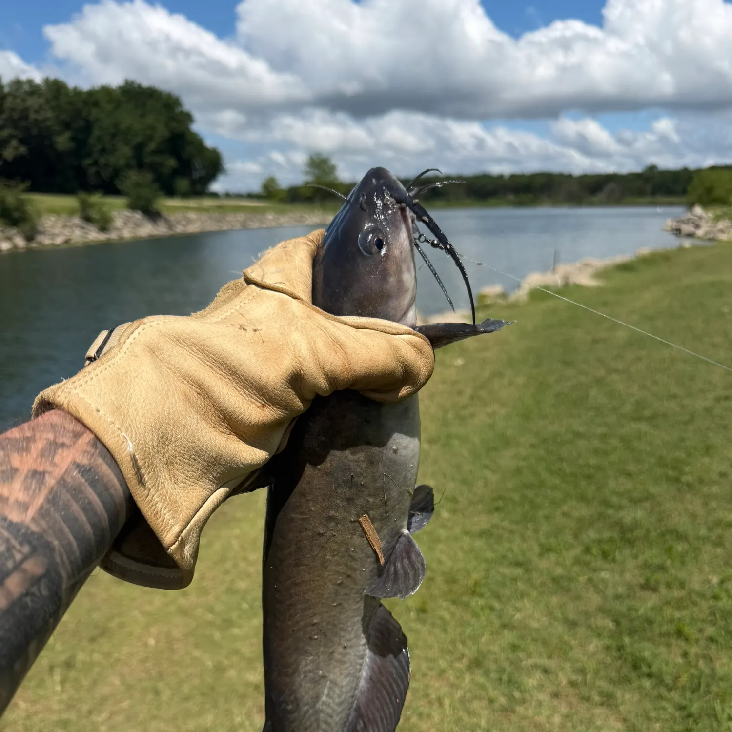 catch