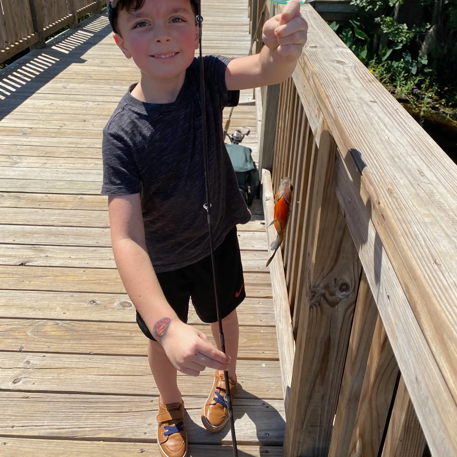 The most recent Redbreast sunfish x bluegill catches on Fishbrain
