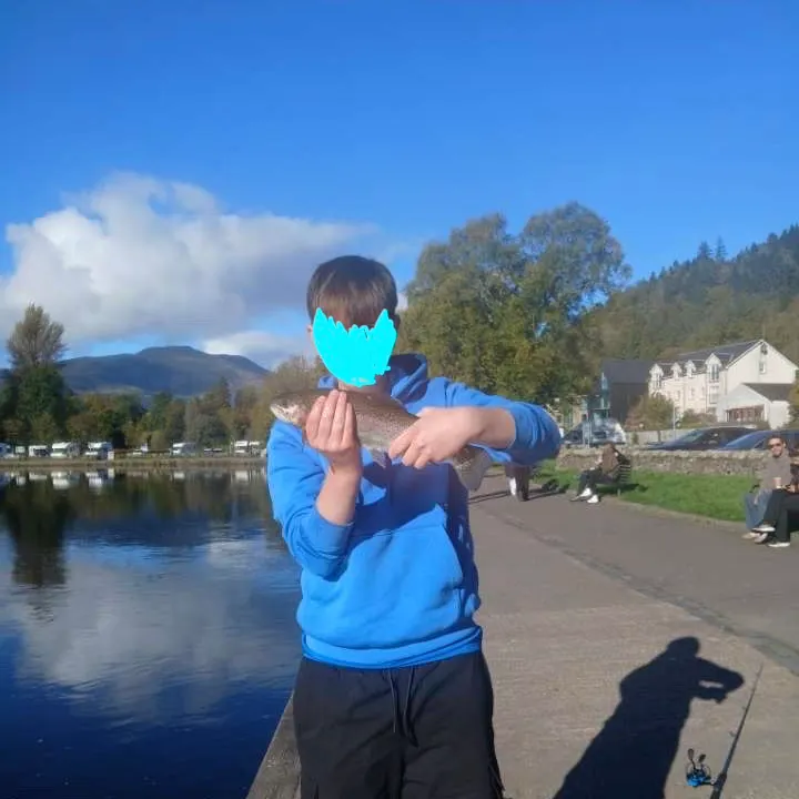 Rainbow trout caught on Fishbrain