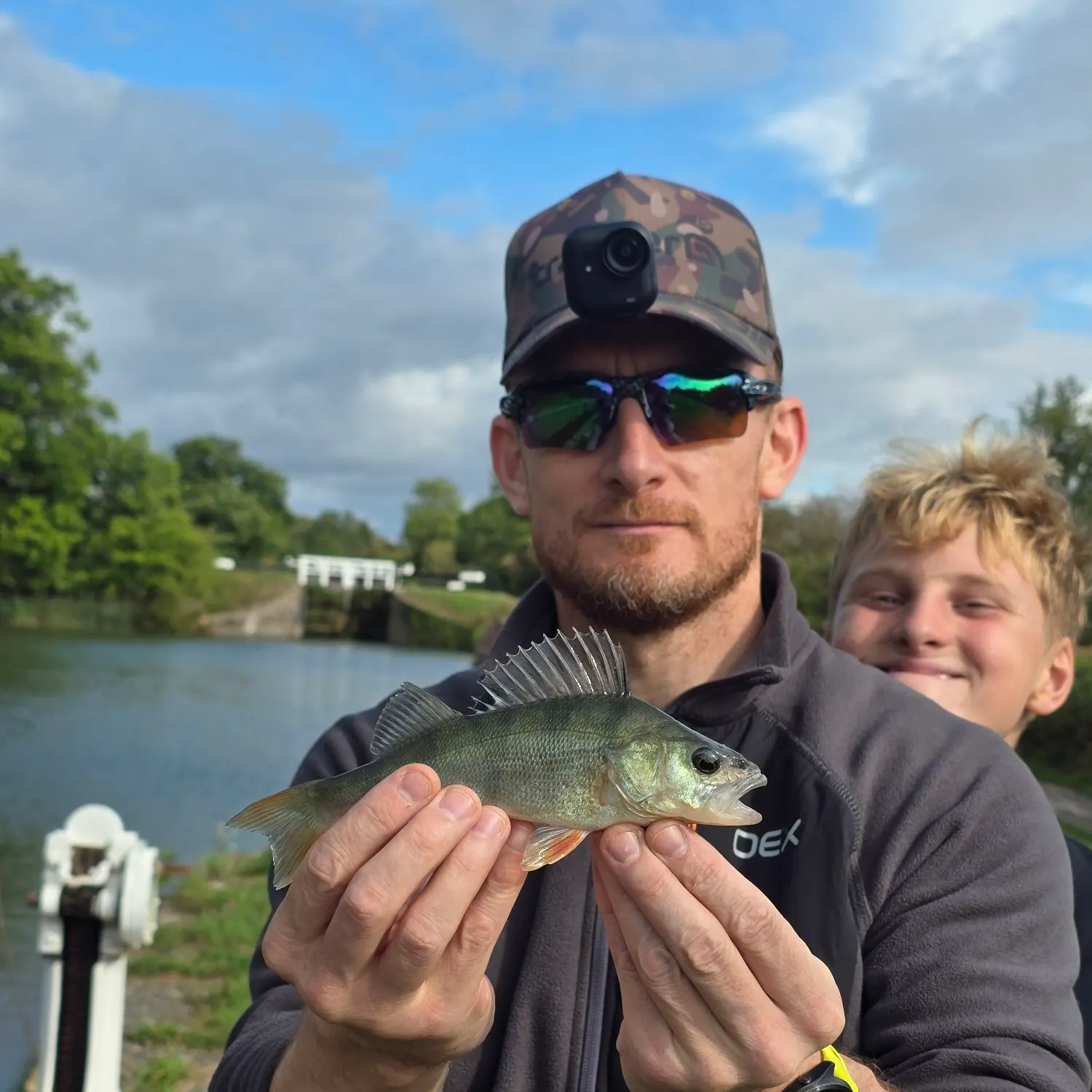 European perch caught on Fishbrain