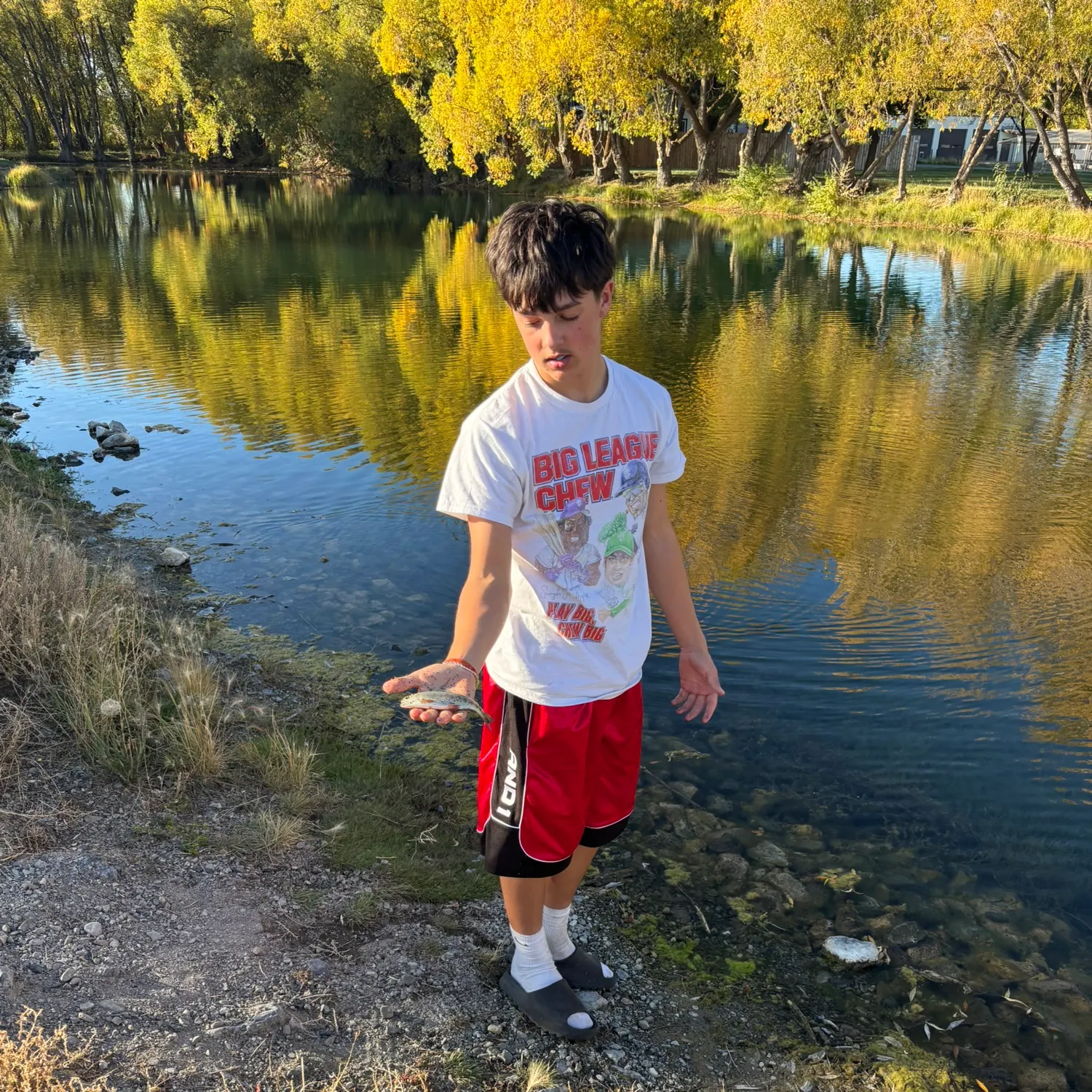 Rainbow trout caught on Fishbrain