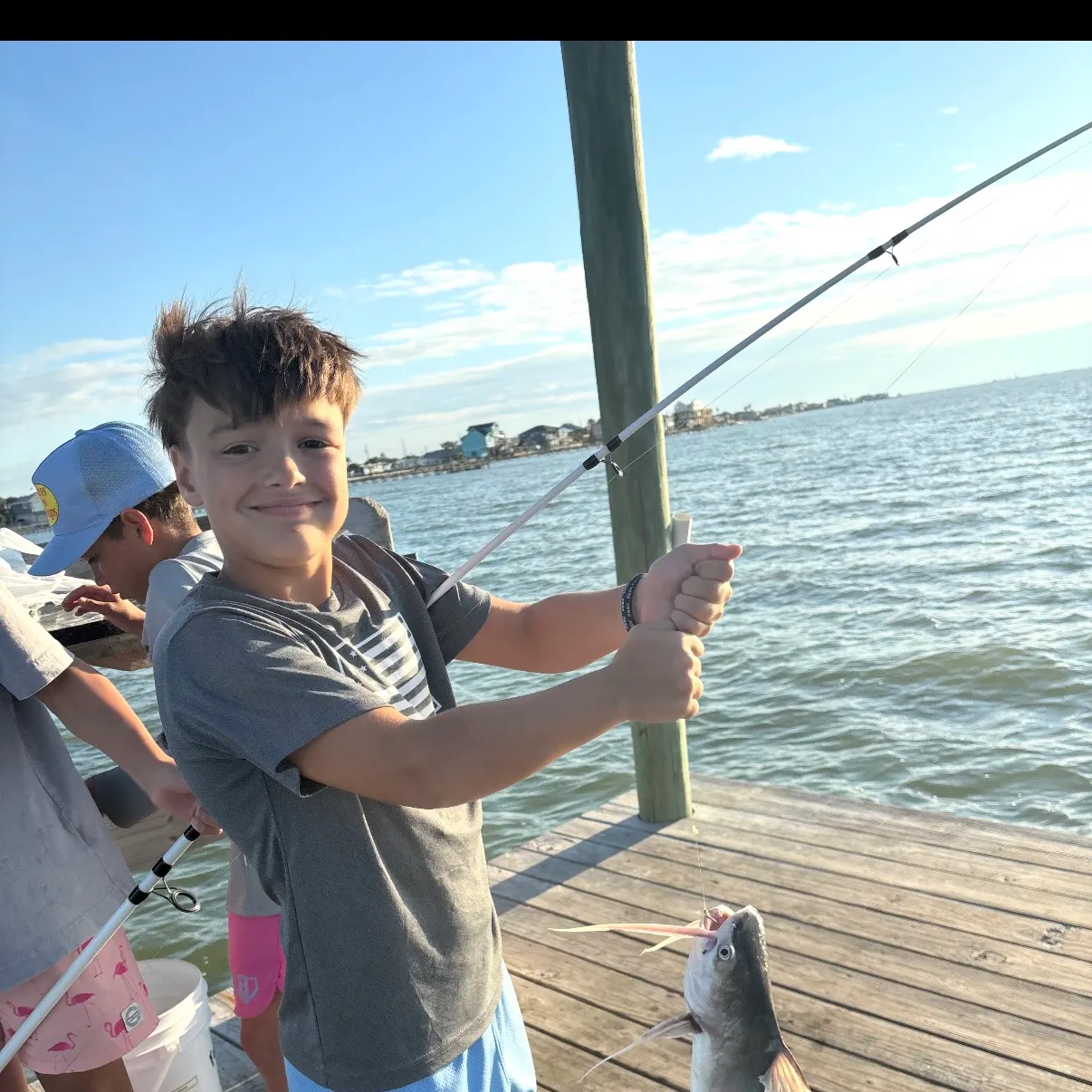 The most recent Gafftopsail sea catfish catches on Fishbrain