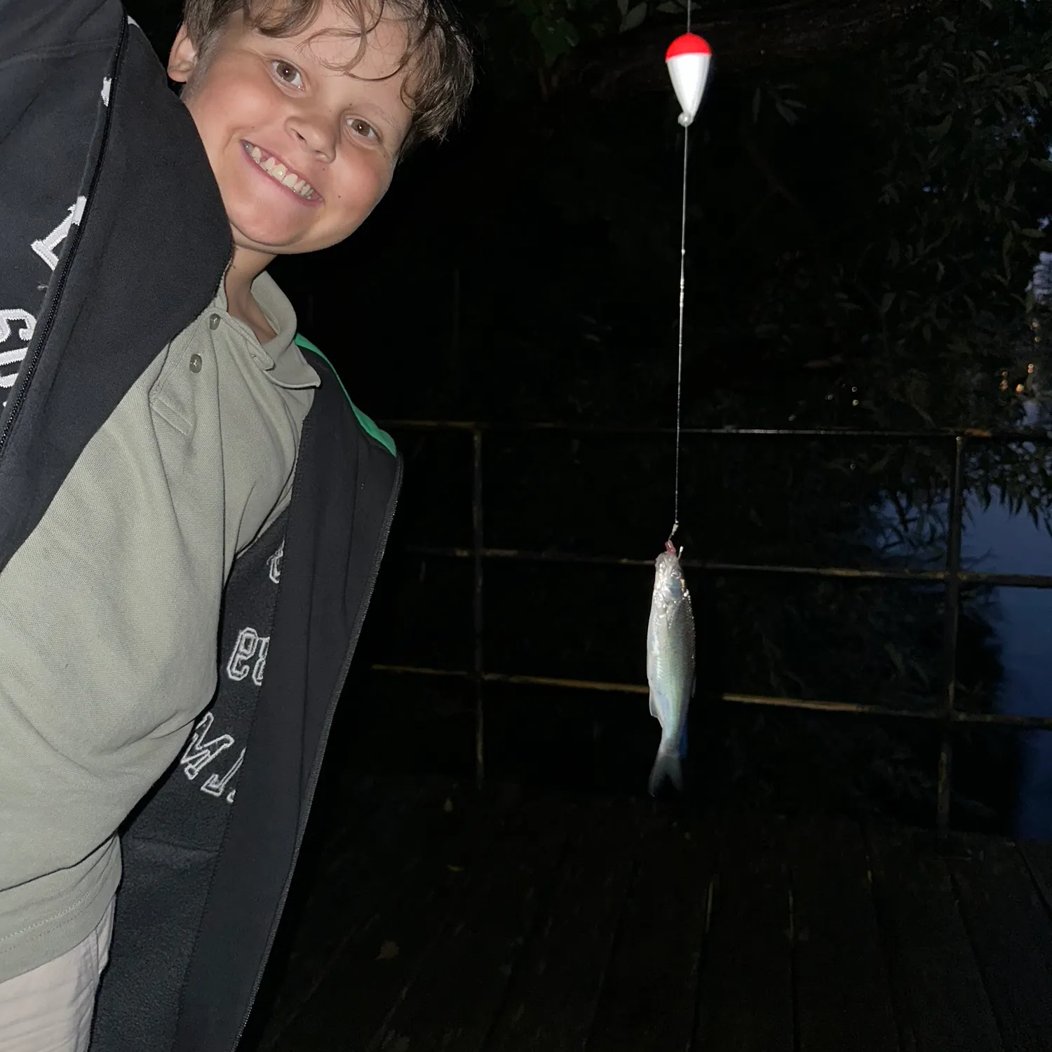Atlantic herring caught on Fishbrain