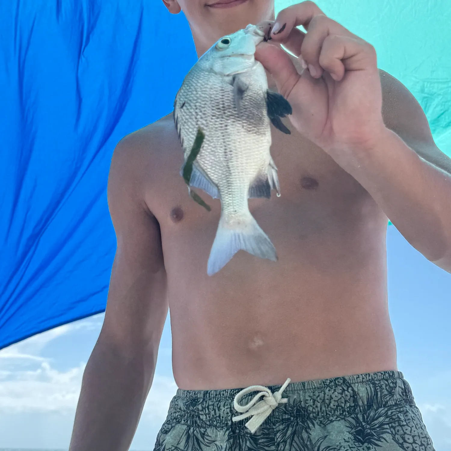 The most recent Black margate catches on Fishbrain