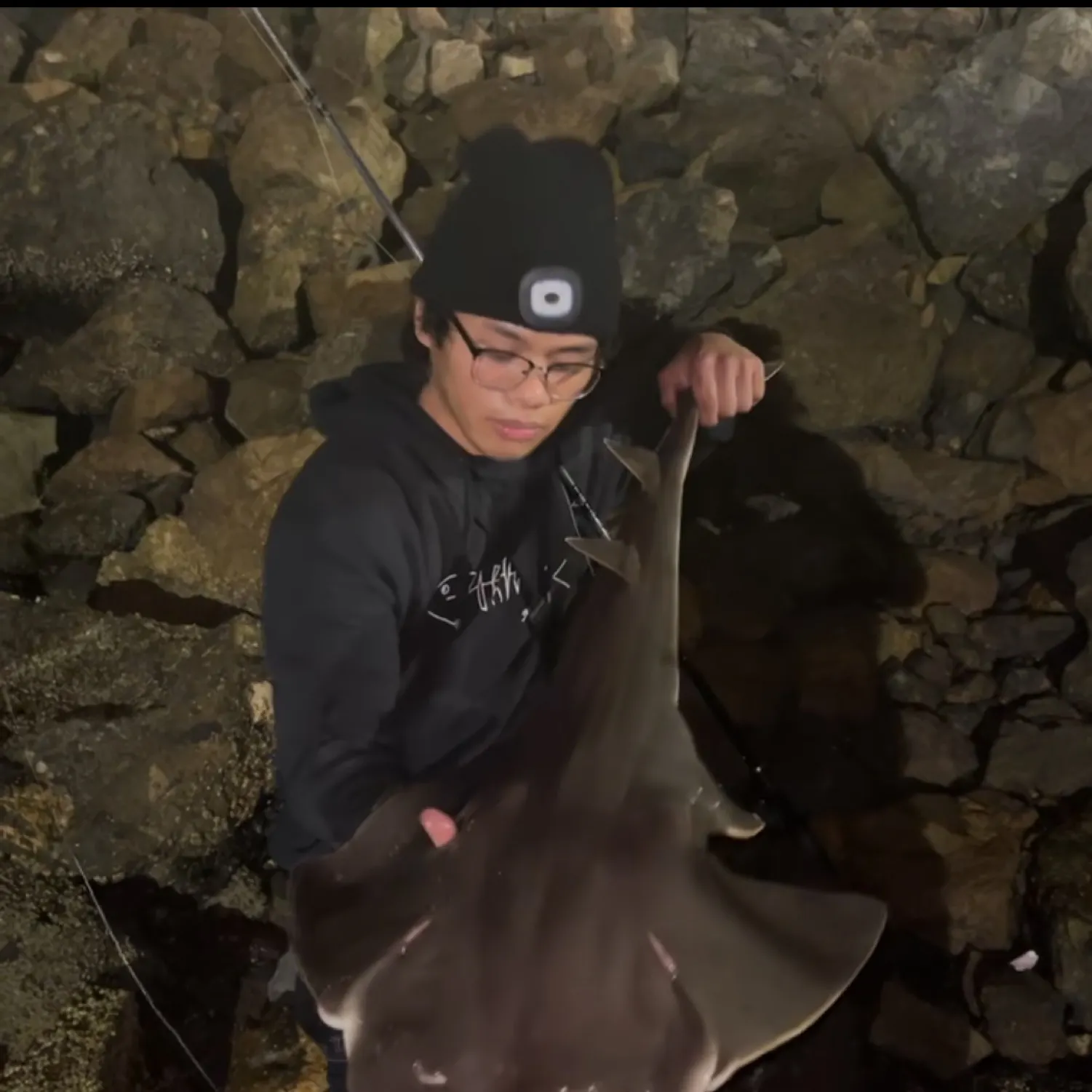 The most recent Pacific angelshark catches on Fishbrain