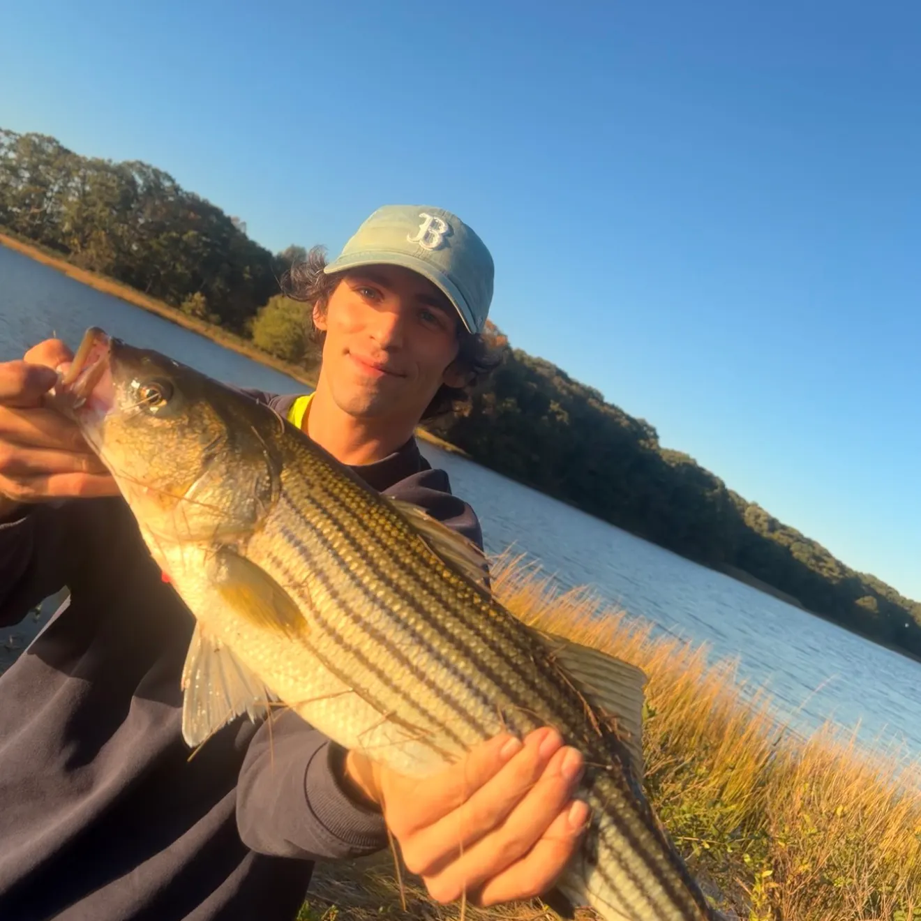 Striped bass caught on Fishbrain