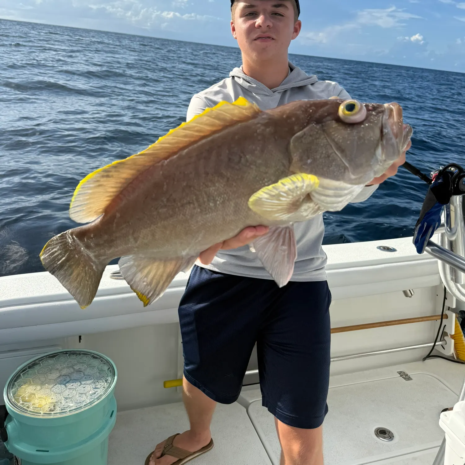 The most recent Yellowedge grouper catches on Fishbrain