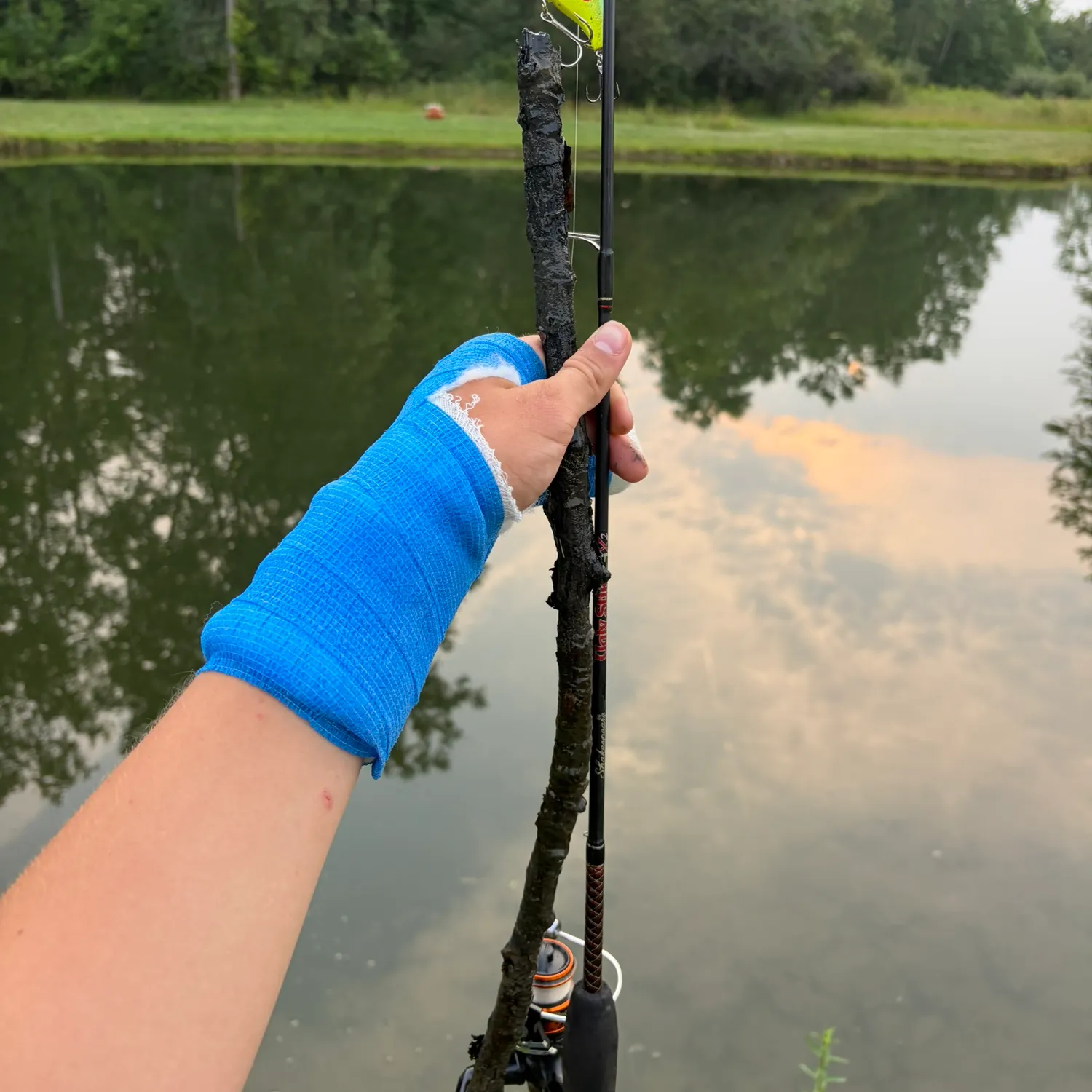 The most recent Broadnosed pipefish catches on Fishbrain