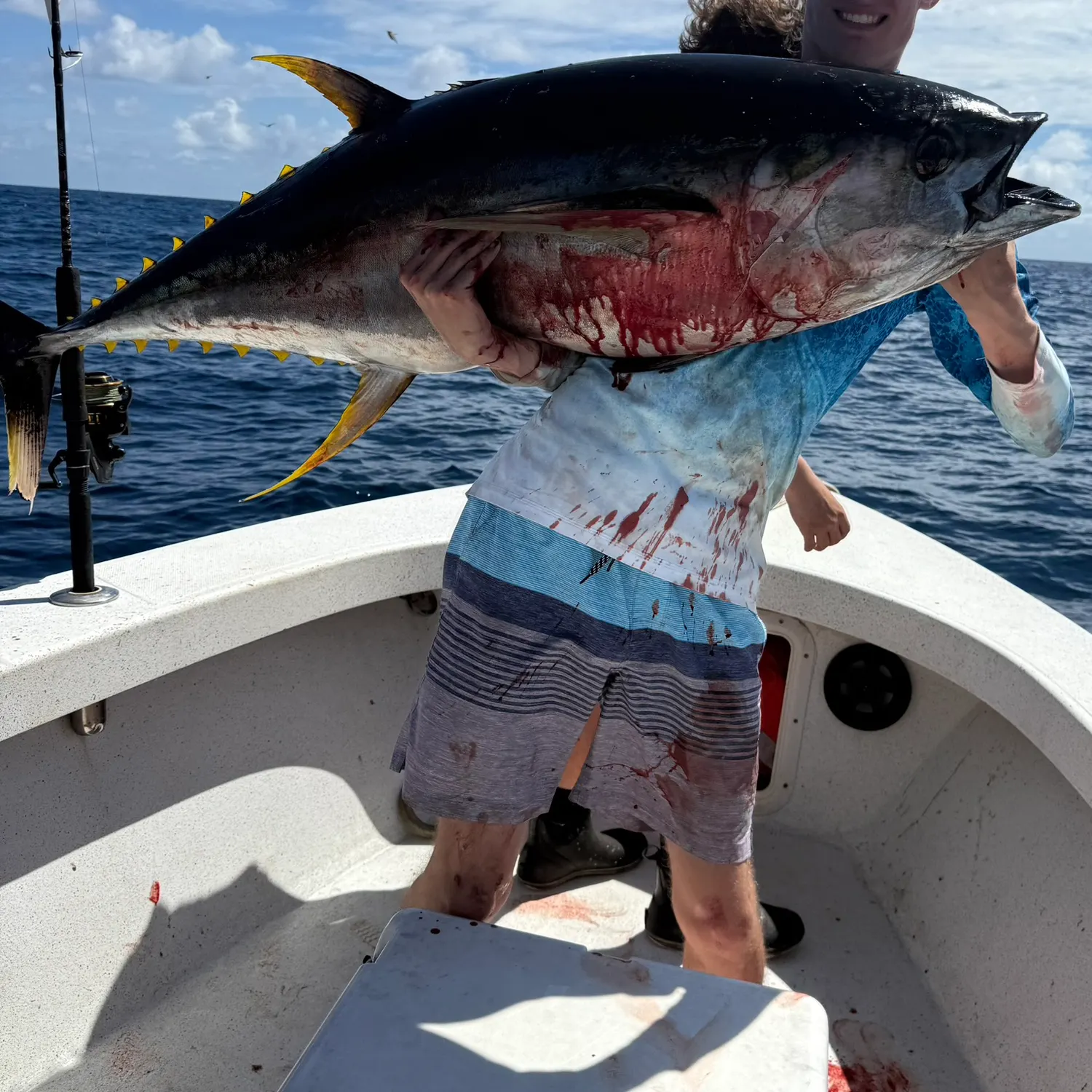 The most recent Yellowfin tuna catches on Fishbrain