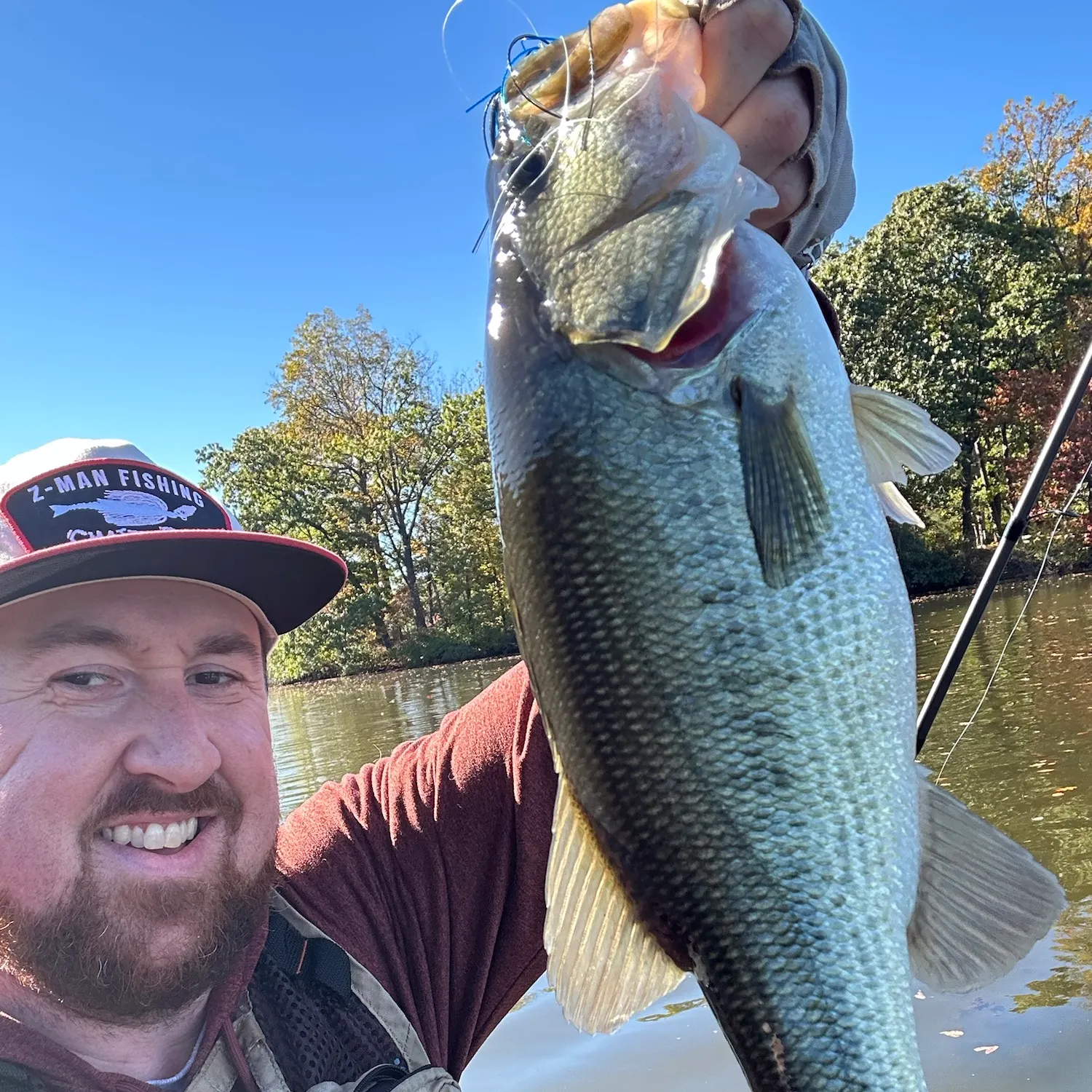 Largemouth bass caught on Fishbrain