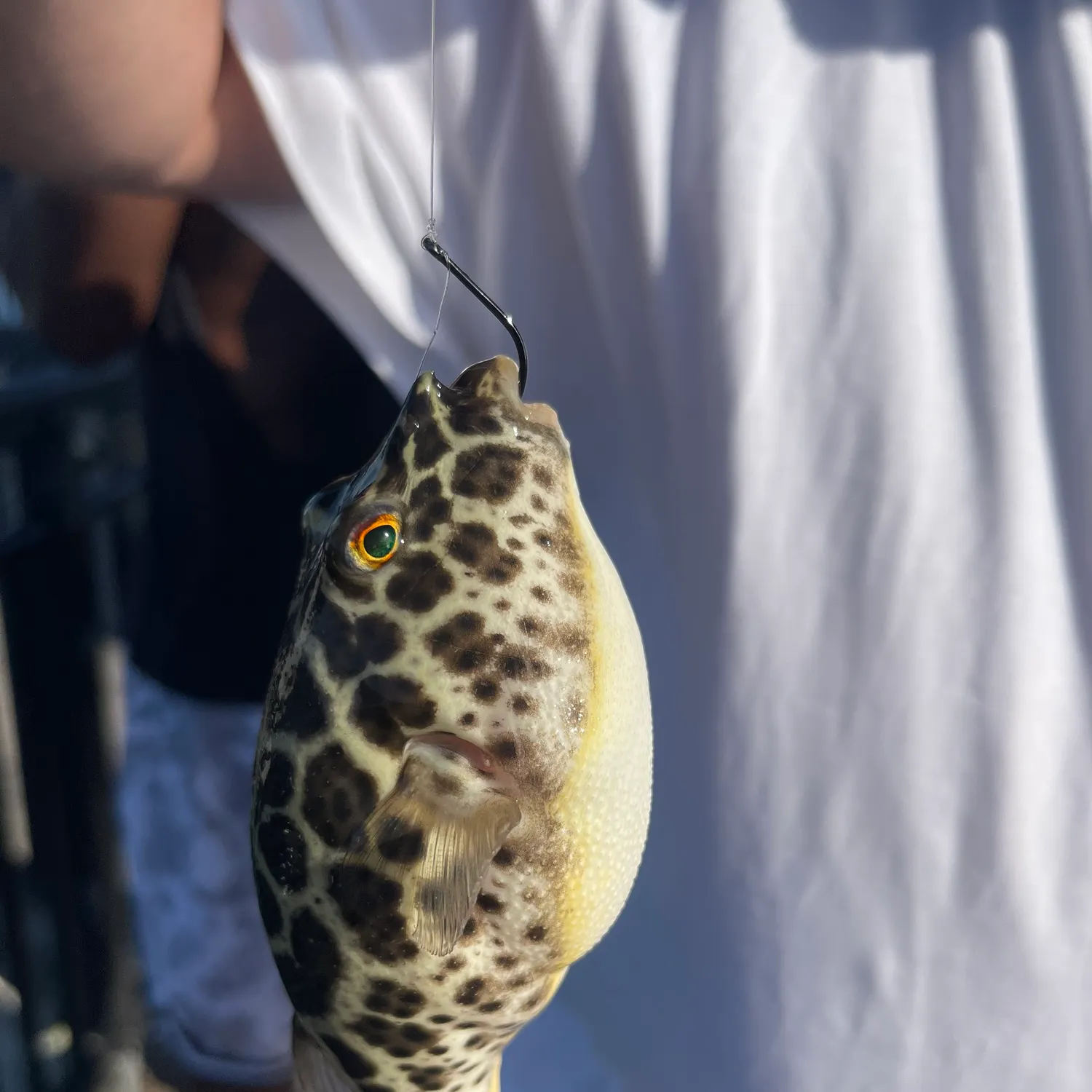 most liked catch image