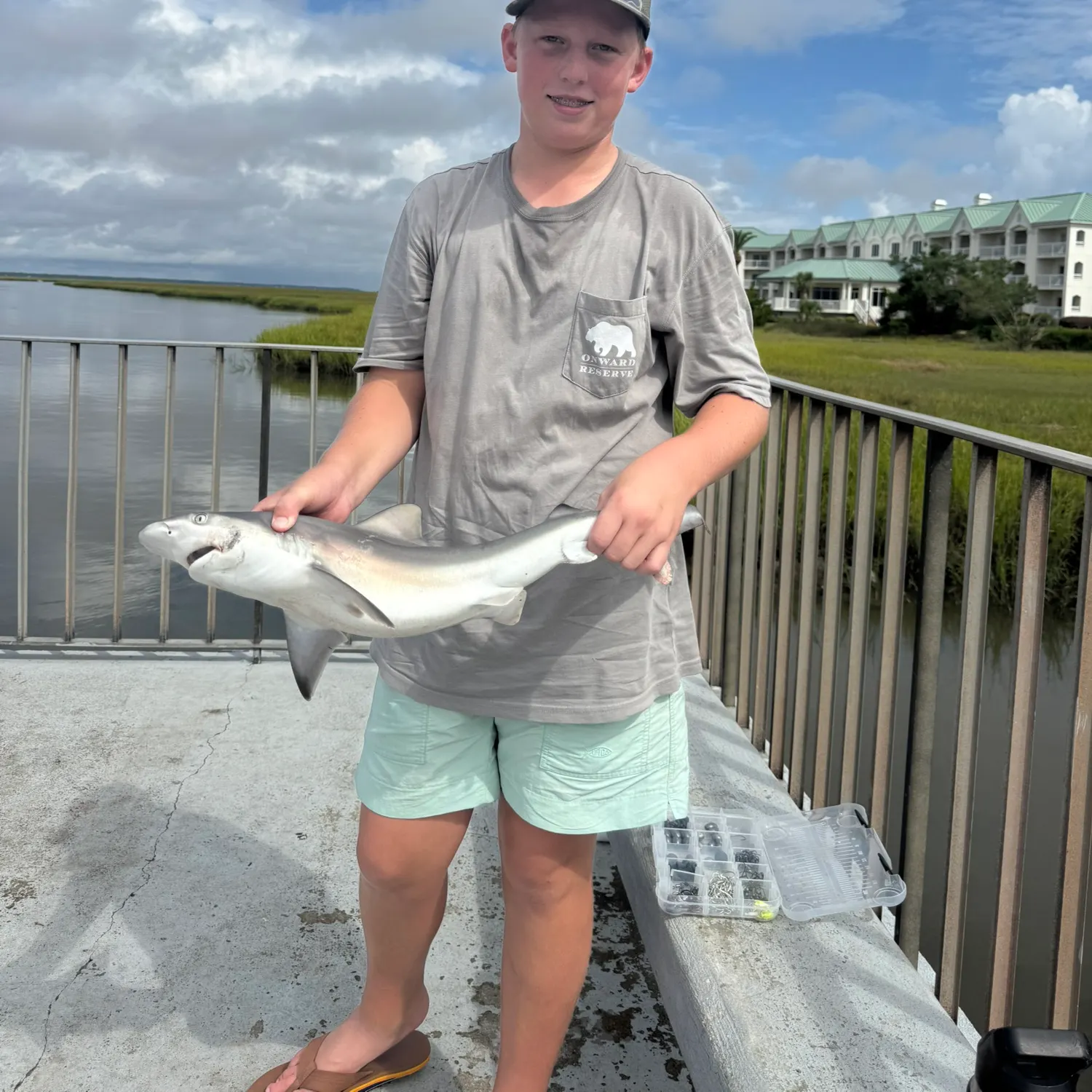 Sandbar shark caught on Fishbrain