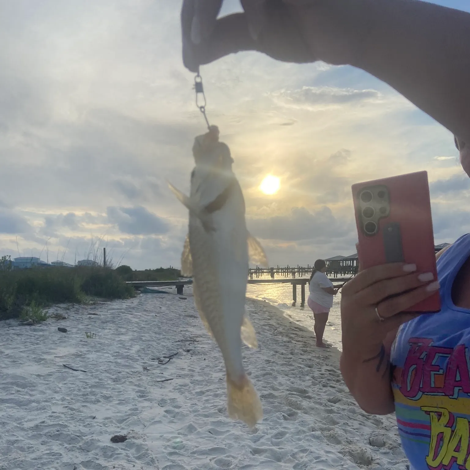 The most recent Yellowfin croaker catches on Fishbrain