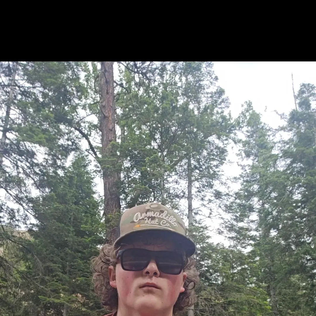 The most recent Bull trout catches on Fishbrain