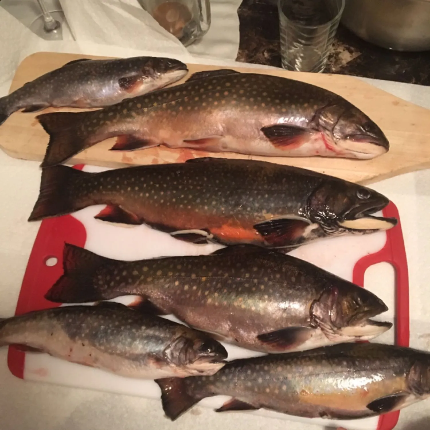 recently logged catches