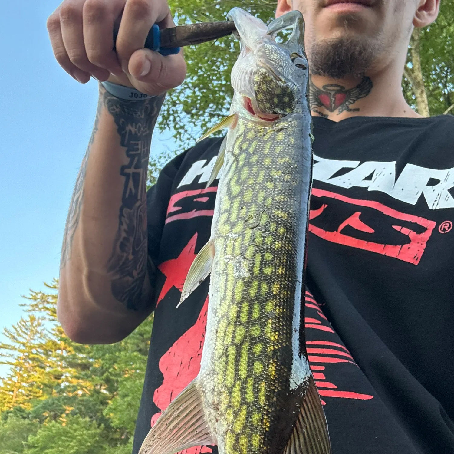 angler catch