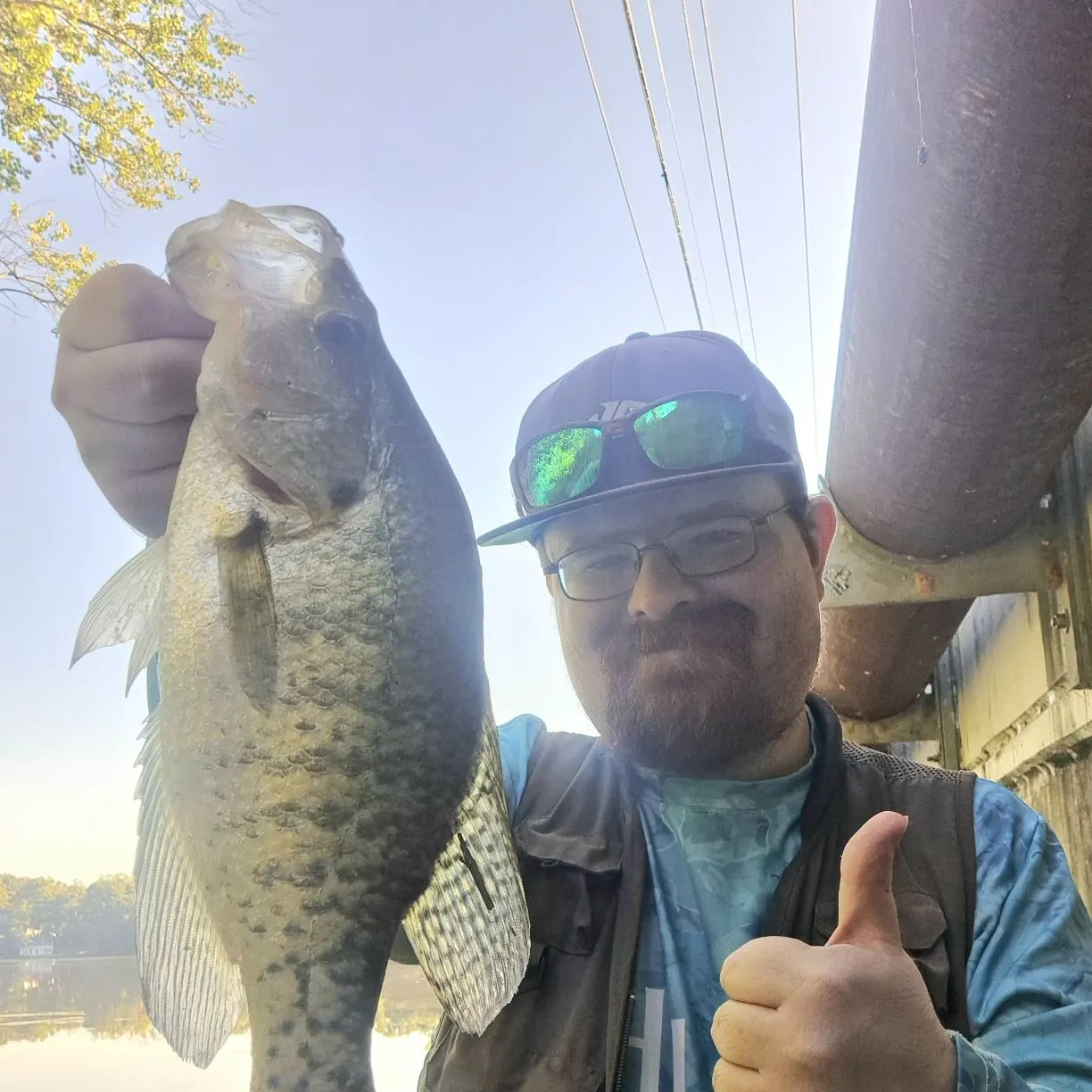 White crappie caught on Fishbrain