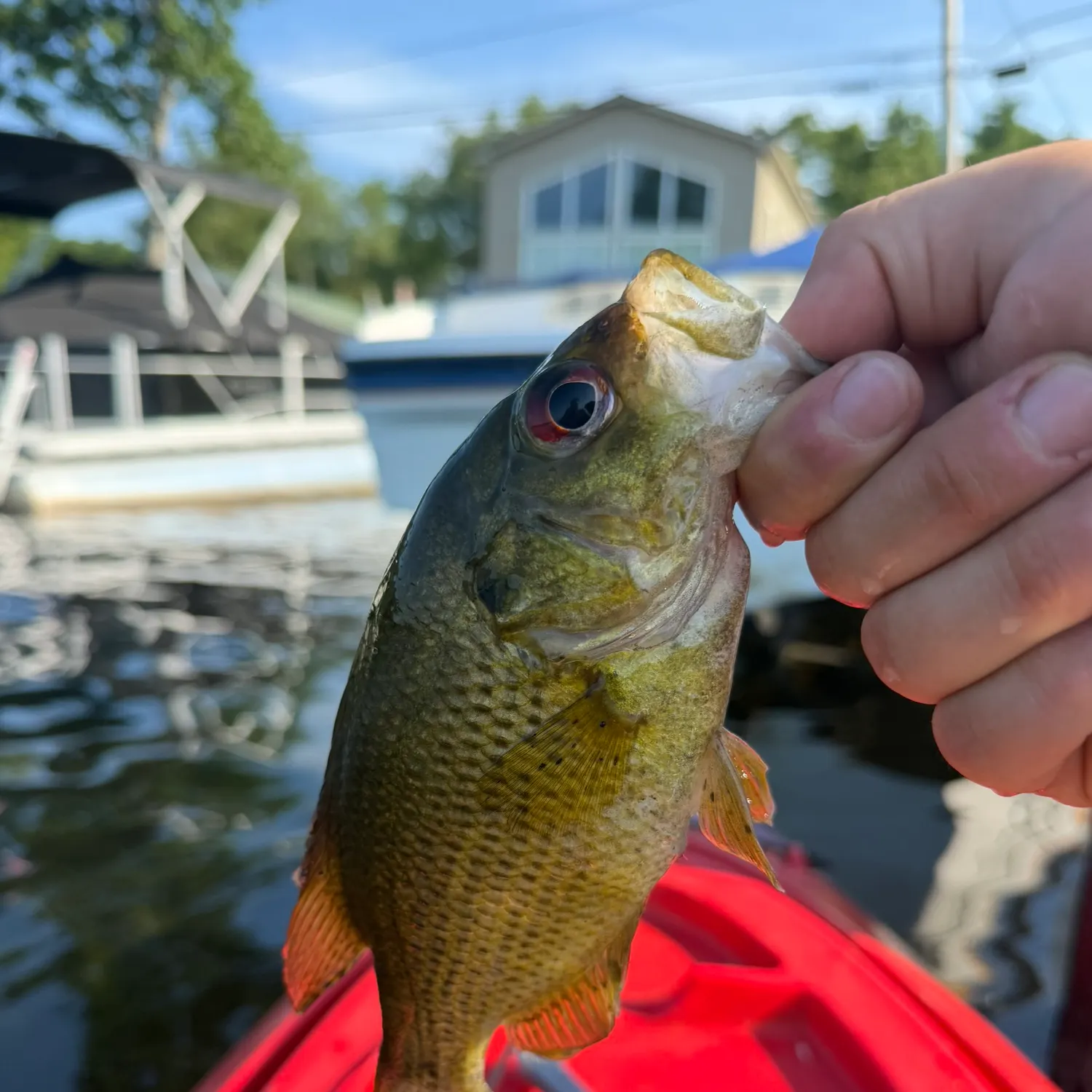 catch