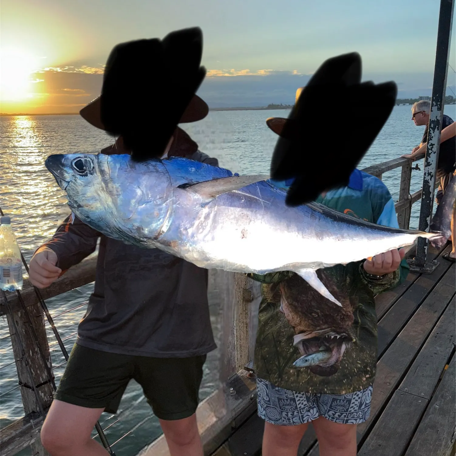 The most recent Skipjack tuna catches on Fishbrain