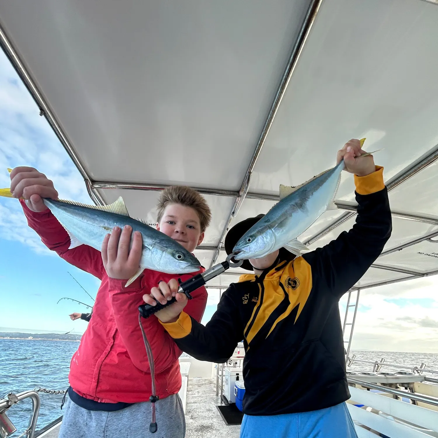 Southern yellowtail amberjack caught on Fishbrain
